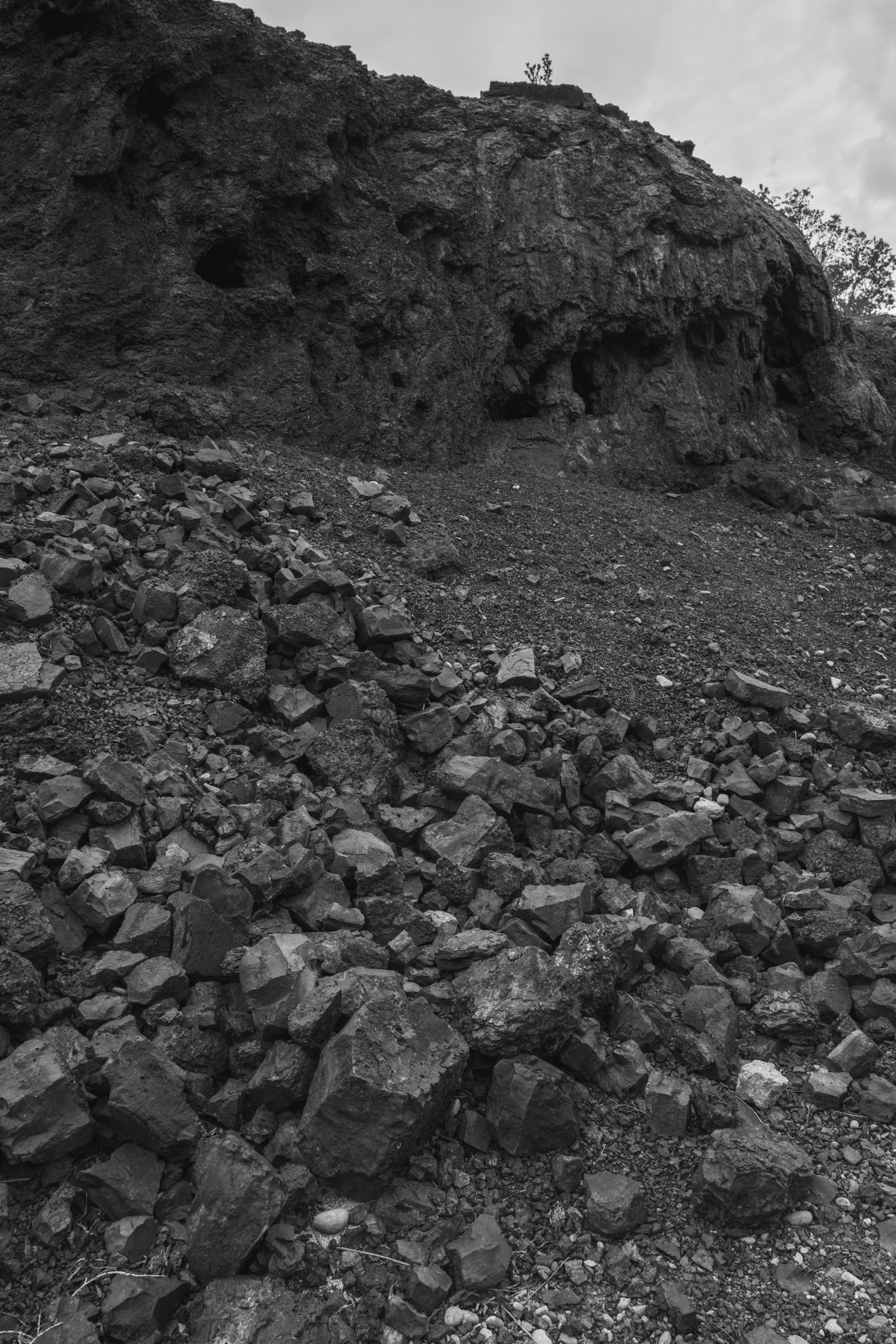 Round trip walk of the entire Animas River Trail in Durango, CO. I started early morning at the northern trailhead, Oxbow Park and Preserve, and walked south until reaching the end at Dallabetta Park. It took me about 3 hours to walk the 8.3 miles to the end before turning around to head back to Oxbow Park.