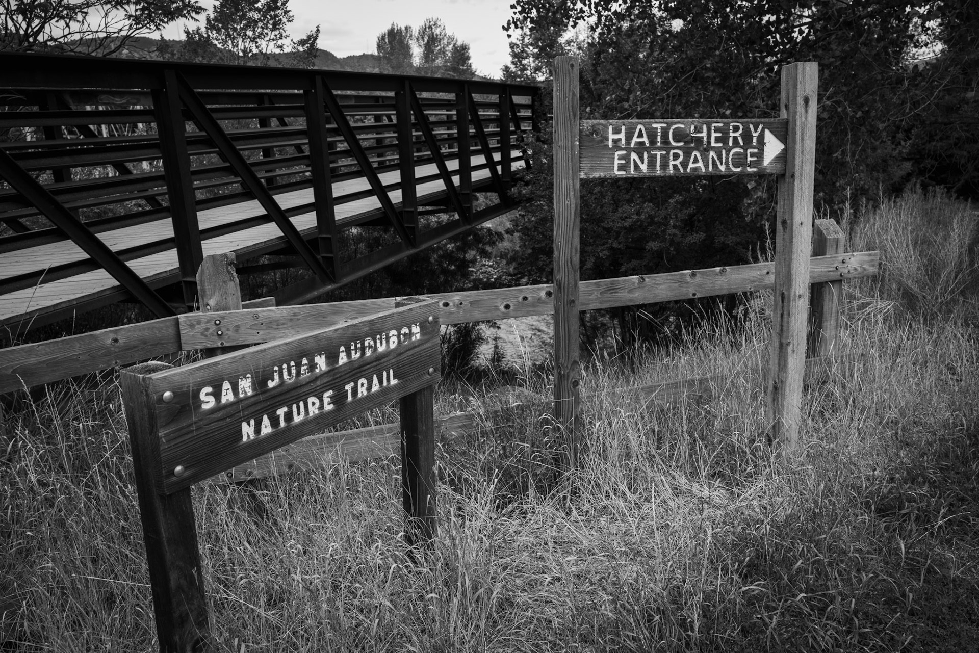 Round trip walk of the entire Animas River Trail in Durango, CO. I started early morning at the northern trailhead, Oxbow Park and Preserve, and walked south until reaching the end at Dallabetta Park. It took me about 3 hours to walk the 8.3 miles to the end before turning around to head back to Oxbow Park.