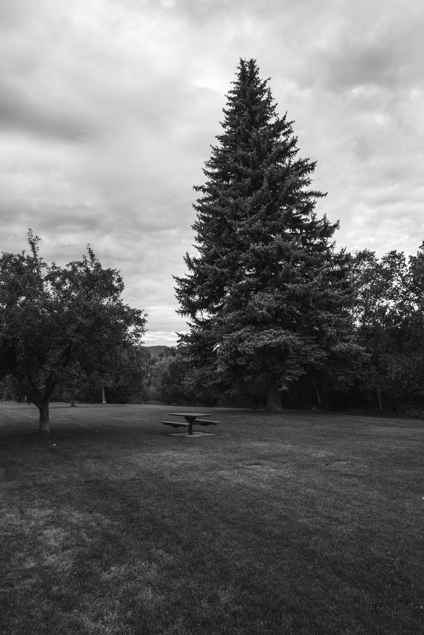 Round trip walk of the entire Animas River Trail in Durango, CO. I started early morning at the northern trailhead, Oxbow Park and Preserve, and walked south until reaching the end at Dallabetta Park. It took me about 3 hours to walk the 8.3 miles to the end before turning around to head back to Oxbow Park.
