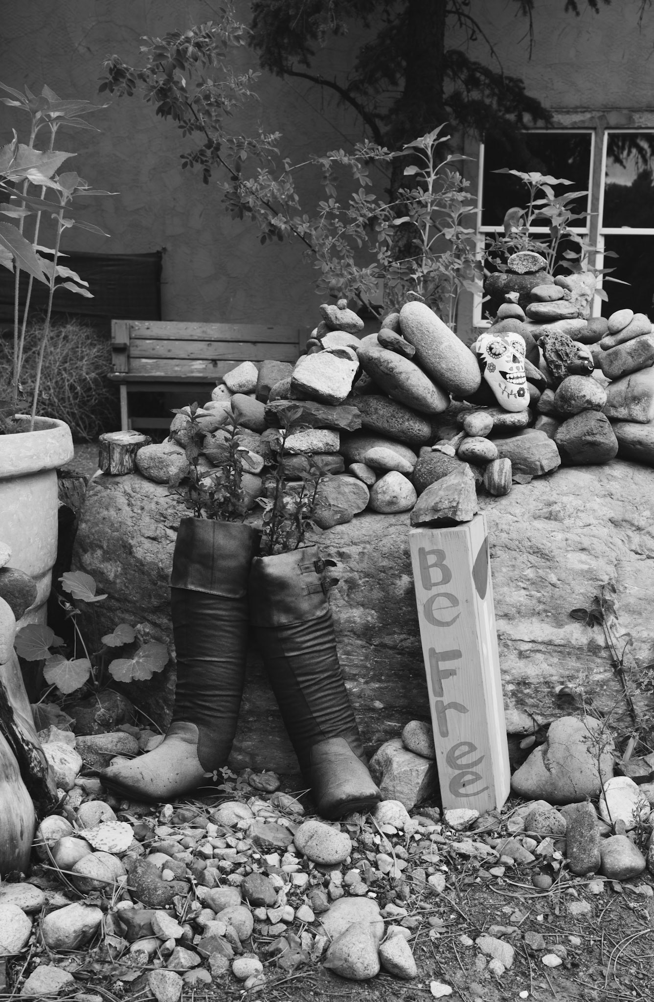 Round trip walk of the entire Animas River Trail in Durango, CO. I started early morning at the northern trailhead, Oxbow Park and Preserve, and walked south until reaching the end at Dallabetta Park. It took me about 3 hours to walk the 8.3 miles to the end before turning around to head back to Oxbow Park.