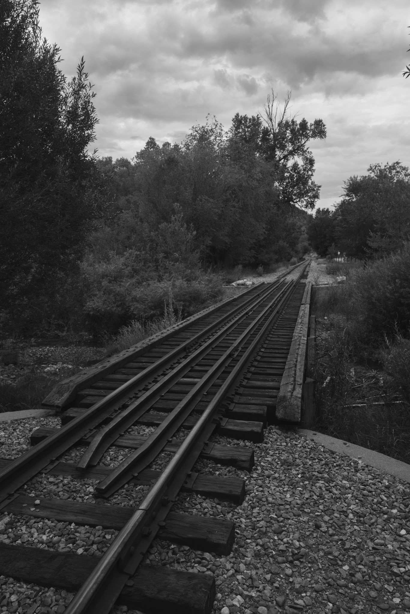 Round trip walk of the entire Animas River Trail in Durango, CO. I started early morning at the northern trailhead, Oxbow Park and Preserve, and walked south until reaching the end at Dallabetta Park. It took me about 3 hours to walk the 8.3 miles to the end before turning around to head back to Oxbow Park.
