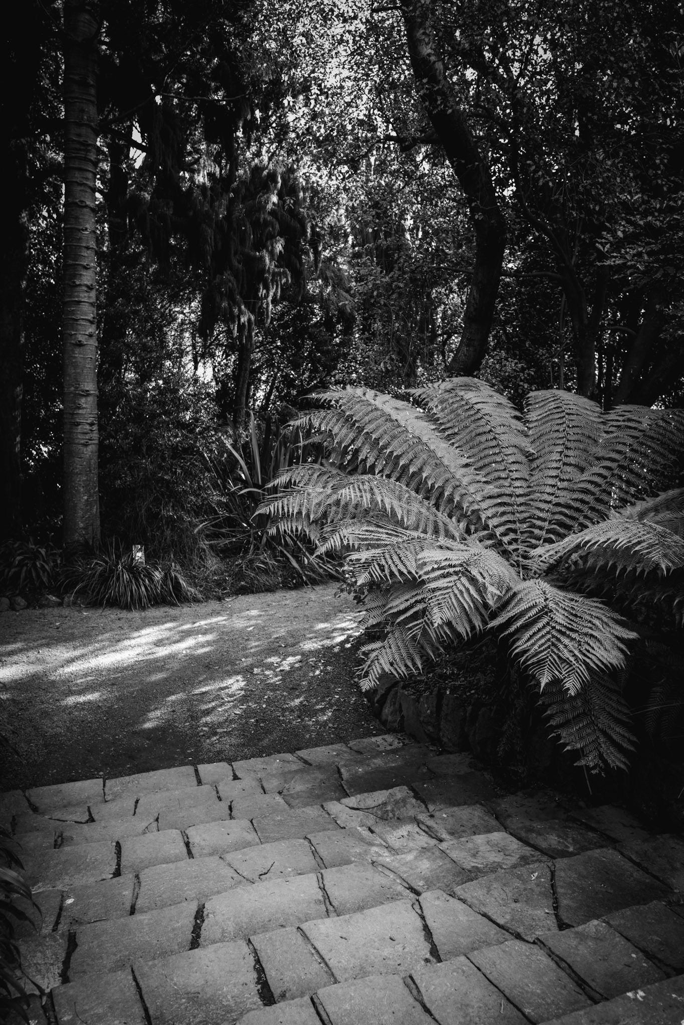 Pathway leading down some steps