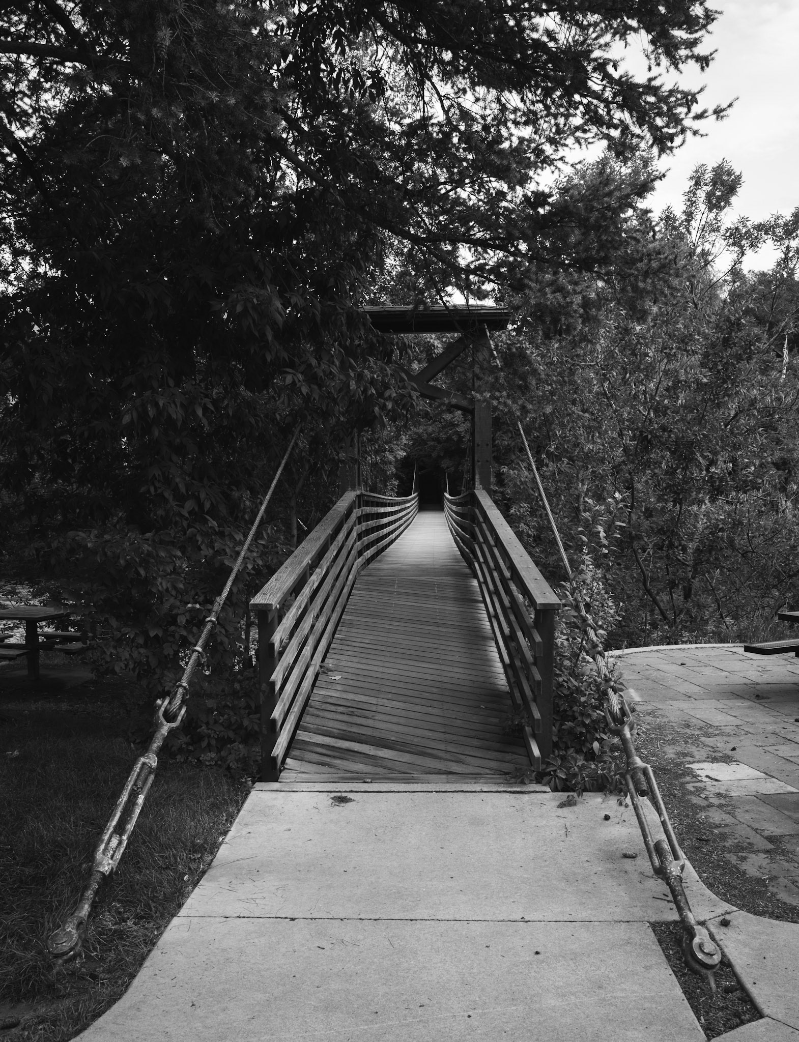 Round trip walk of the entire Animas River Trail in Durango, CO. I started early morning at the northern trailhead, Oxbow Park and Preserve, and walked south until reaching the end at Dallabetta Park. It took me about 3 hours to walk the 8.3 miles to the end before turning around to head back to Oxbow Park.