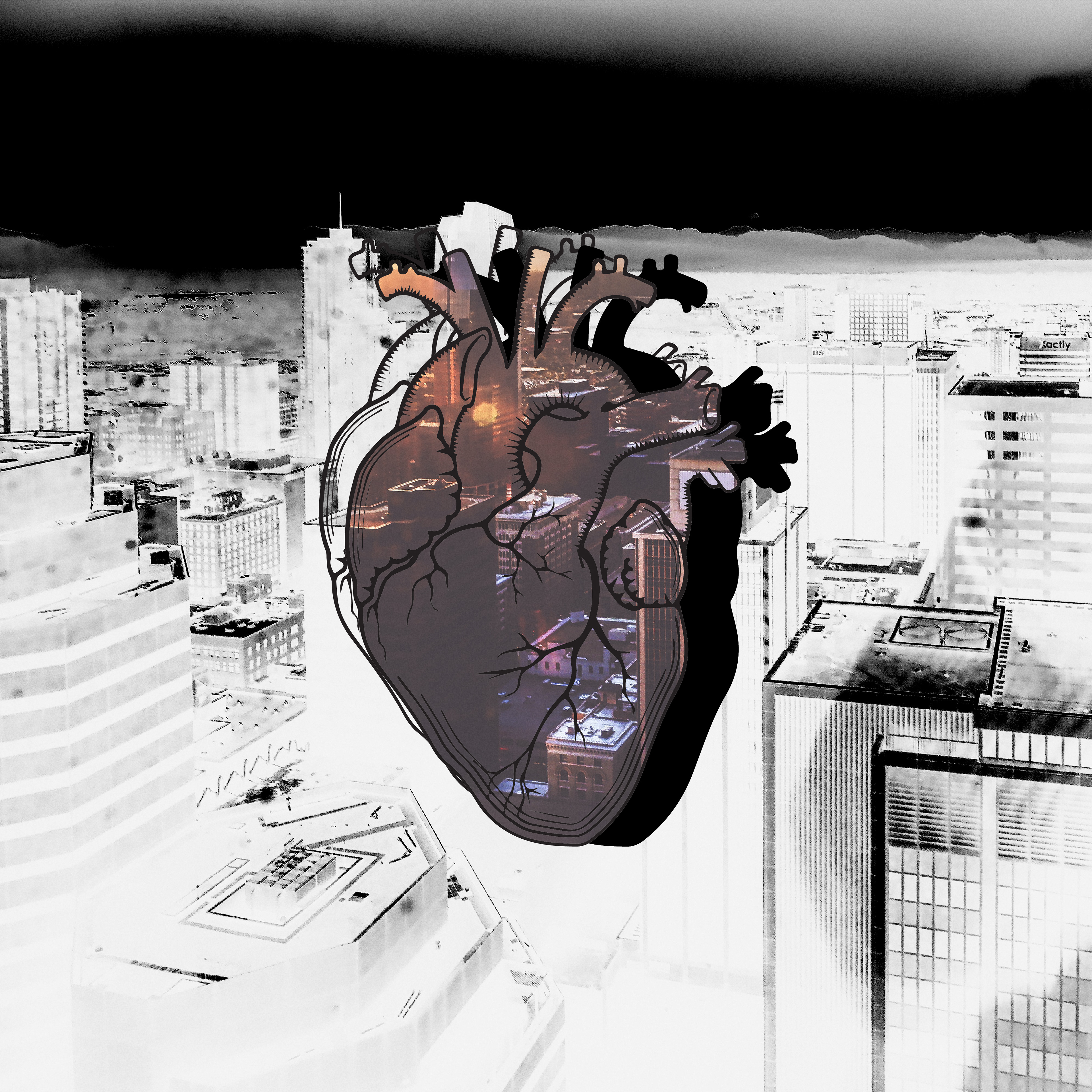 The City Holds My Heart 2