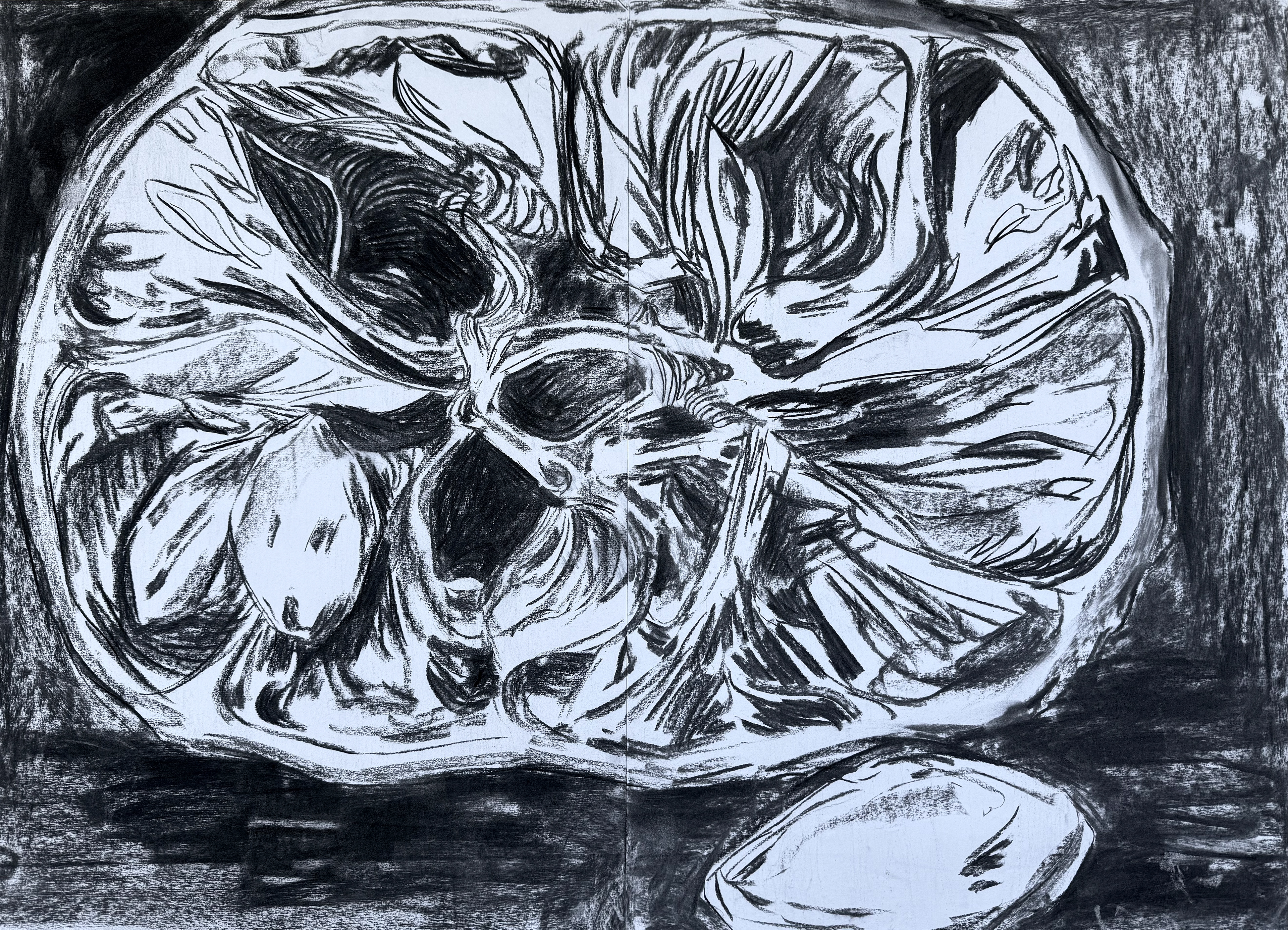 charcoal on paper, 84.1 x 59.4 cm