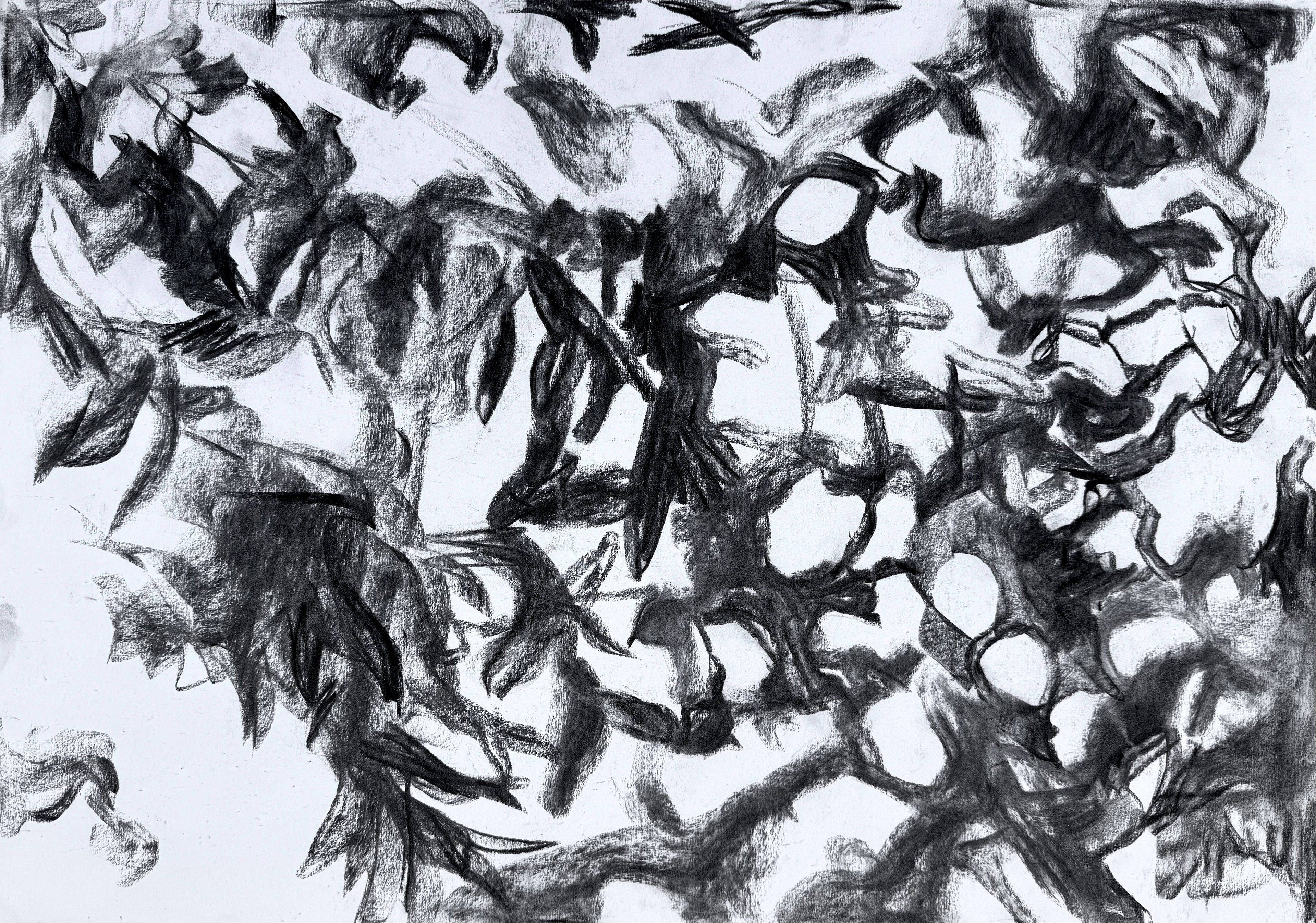 charcoal on paper, 42 x 59.4 cm