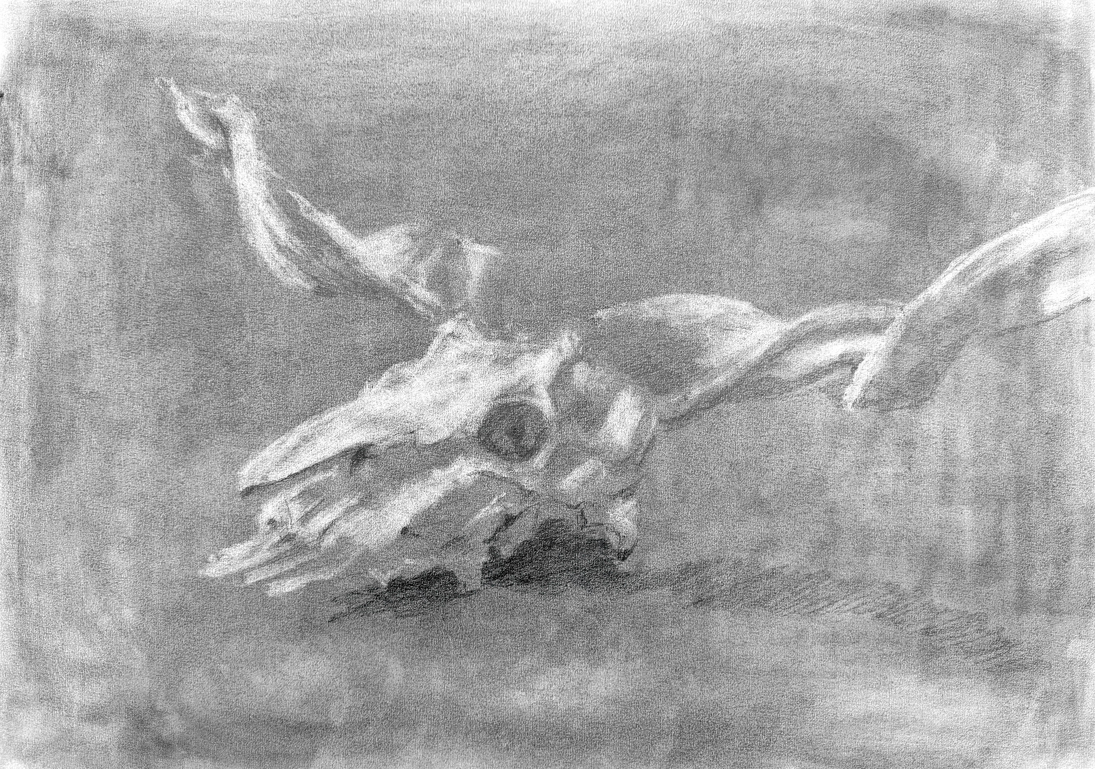 graphite powder on paper, 42 x 59.4 cm
