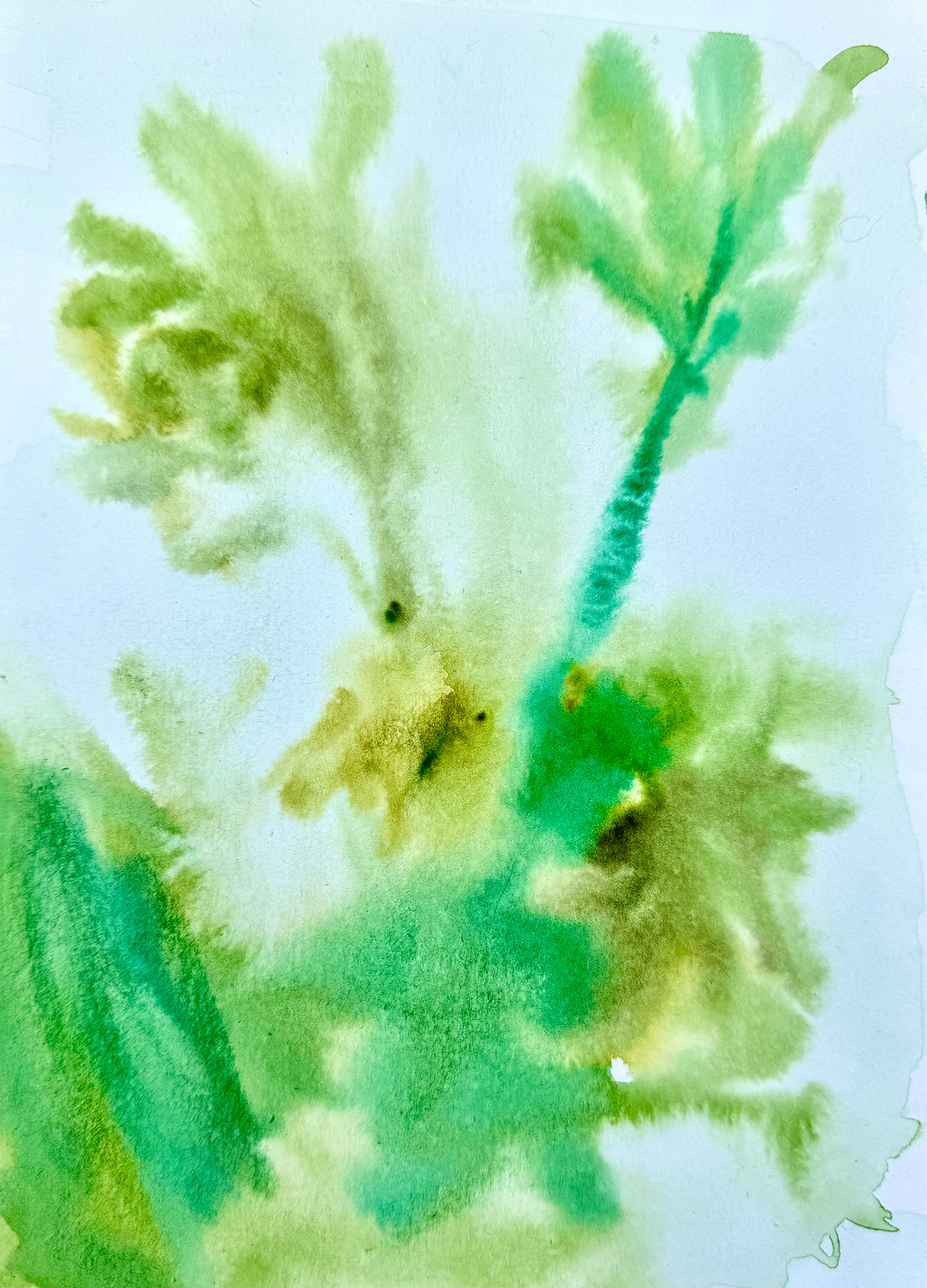 watercolours on paper, 14.8 x 21 cm