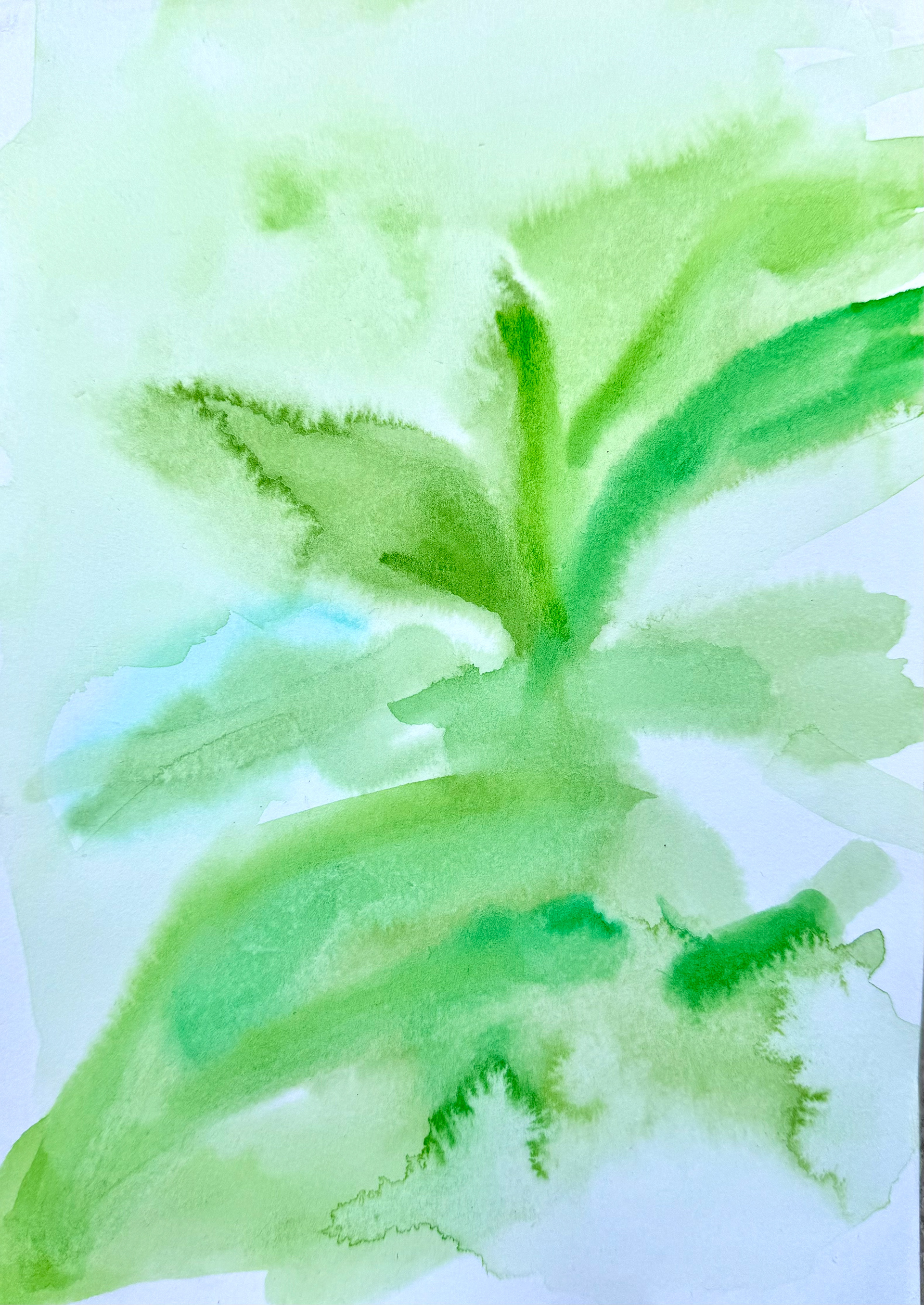 watercolours on paper, 14.8 x 21 cm