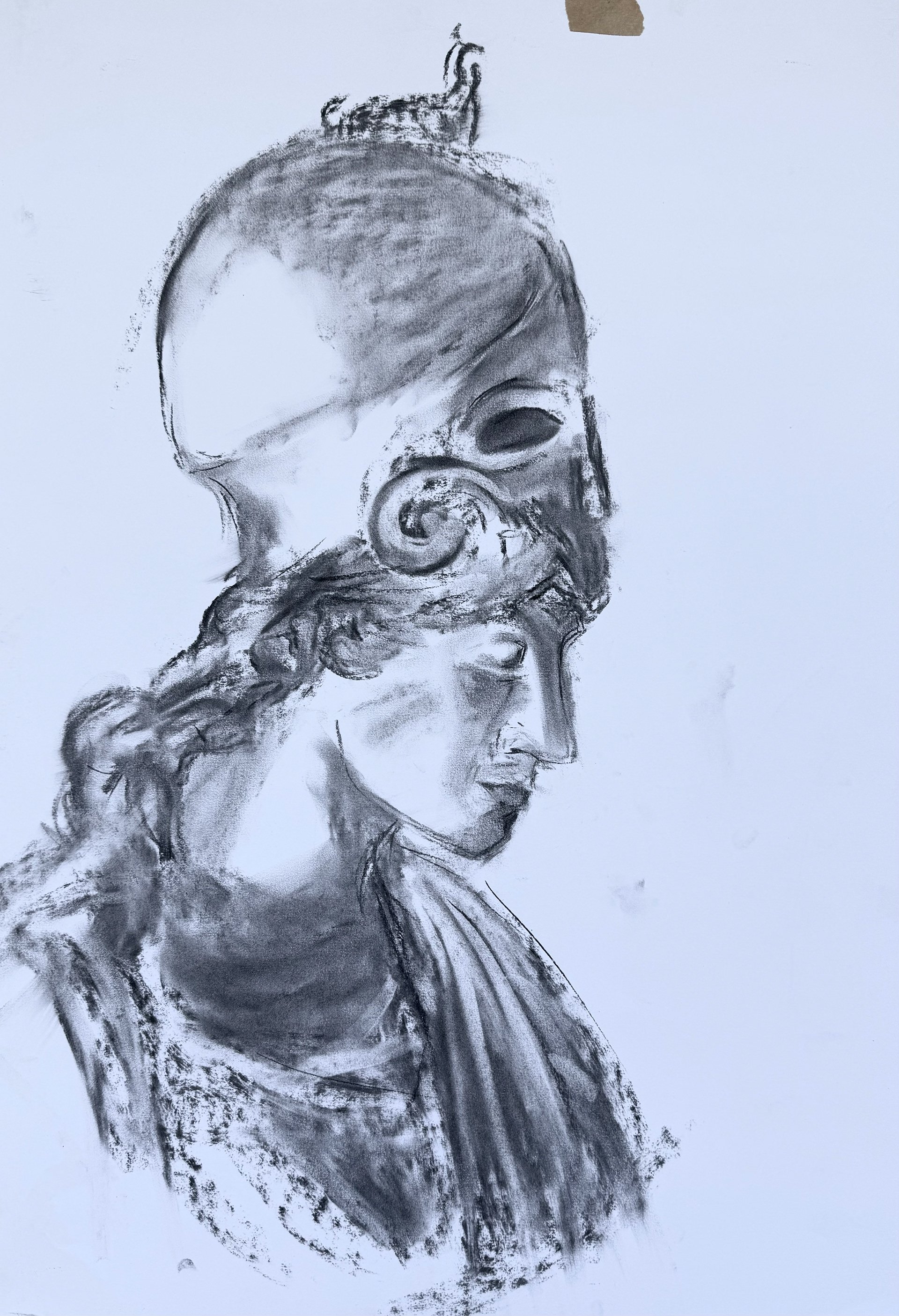 charcoal on paper, 42 x 59.4 cm
