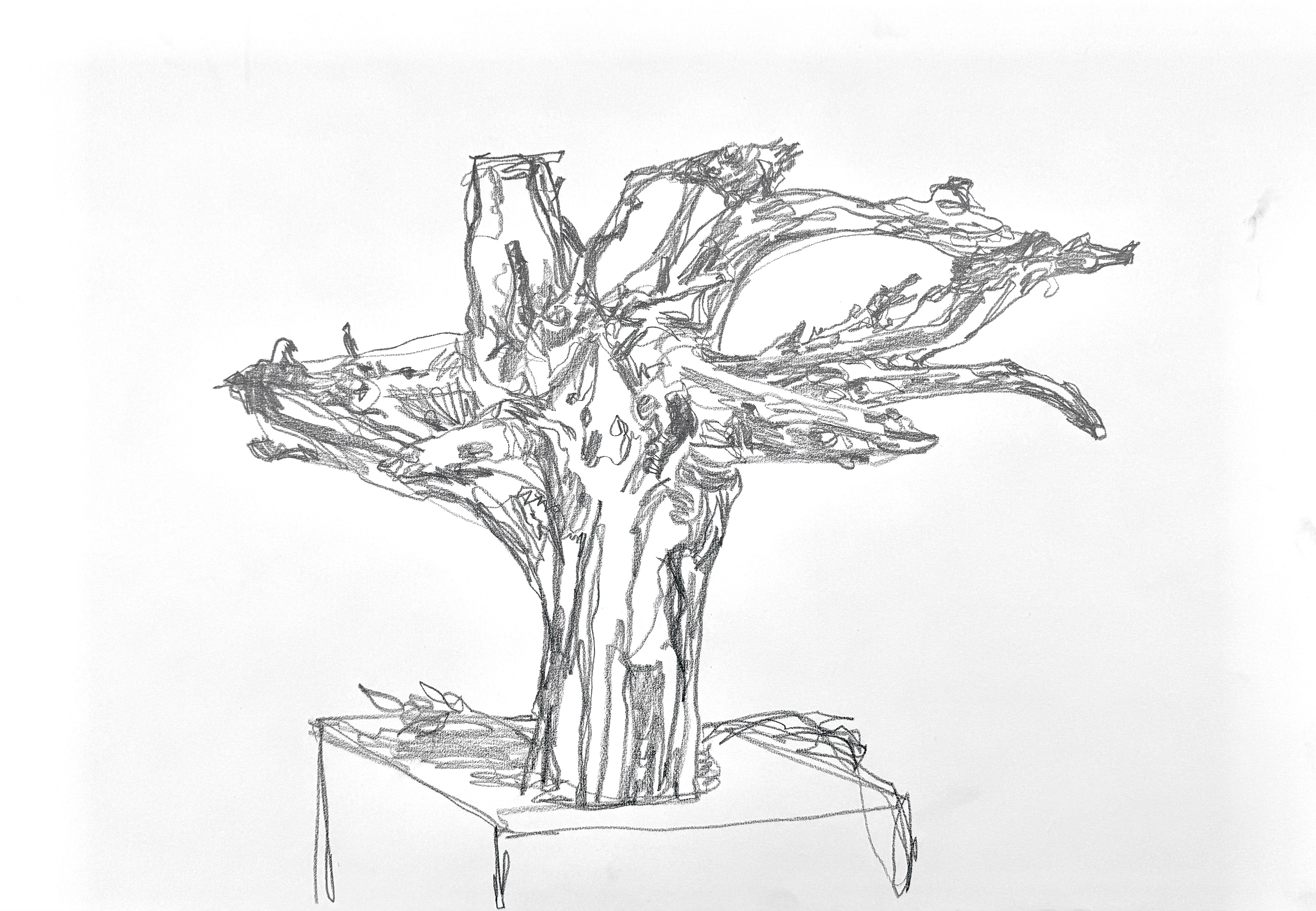 graphite on paper, 42 x 59.4 cm