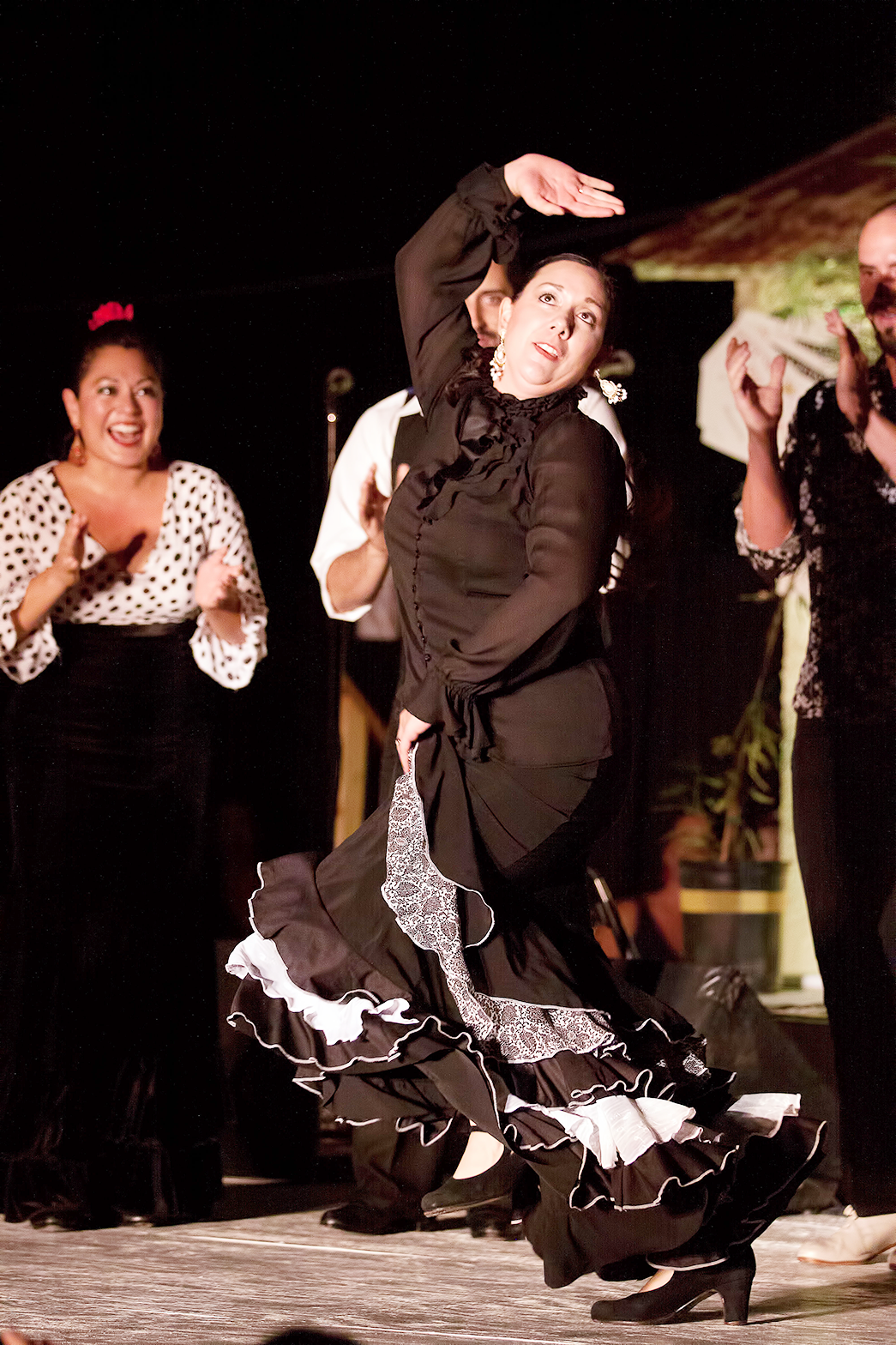 Flamenco Festival - Casa Vicente
