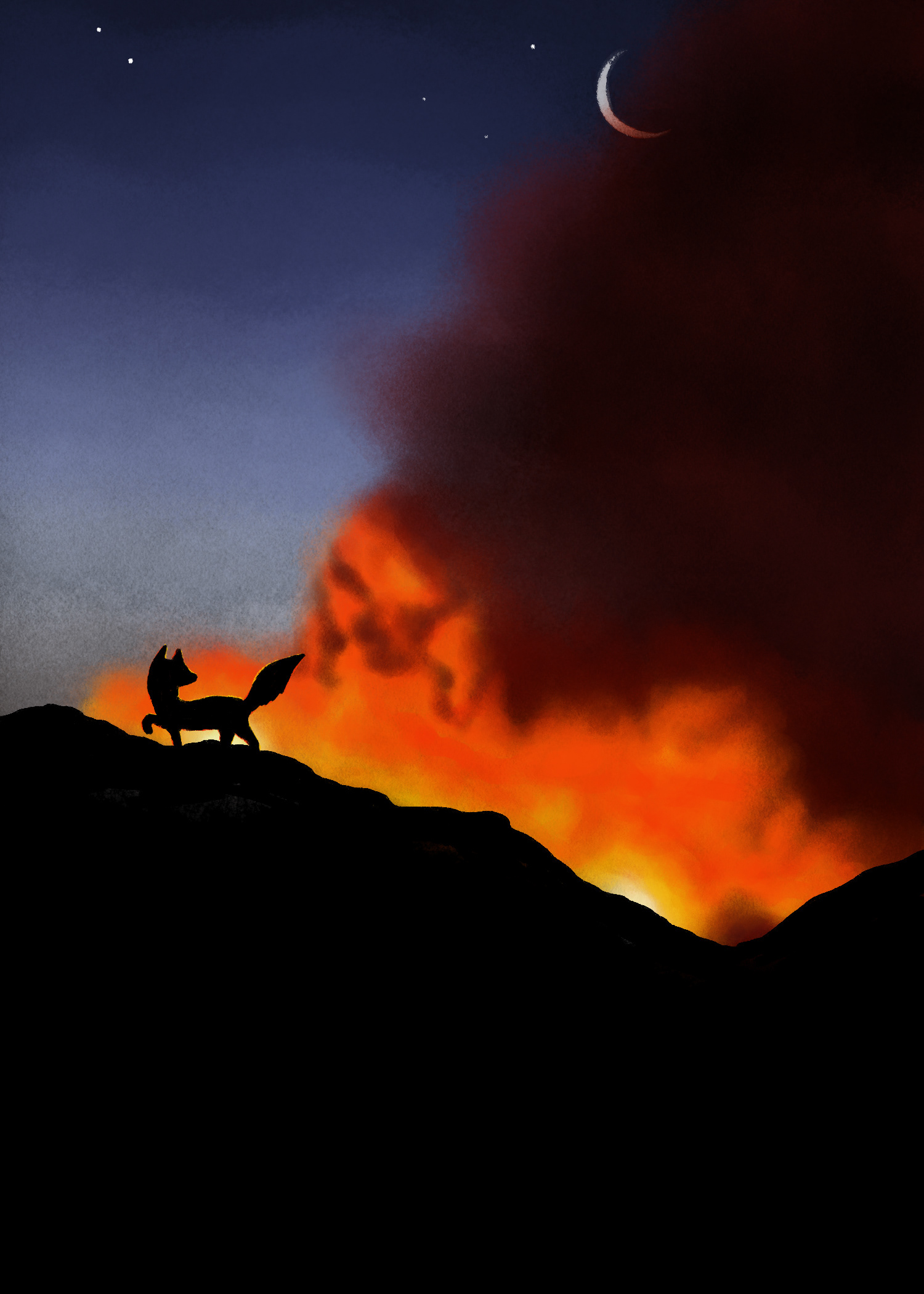 Mock book cover for a middle grade novel, featuring a silhouetted fox in the foreground, on a hill, while a wildfire blazes against the night sky