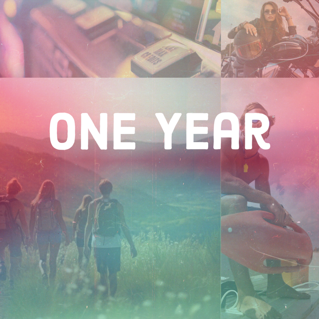 A collage of four images with a pink and green faded overlay. Text reads "ONE YEAR" the title of a four-part, multi-point-of-view contemporary YA that tracks one group of friends through four seasons and four love stories on a journey of discovering their identities.