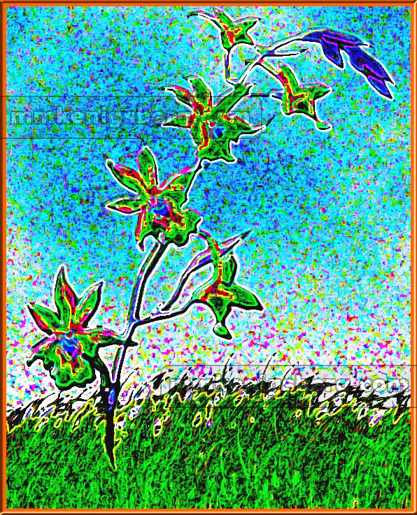 Springtime