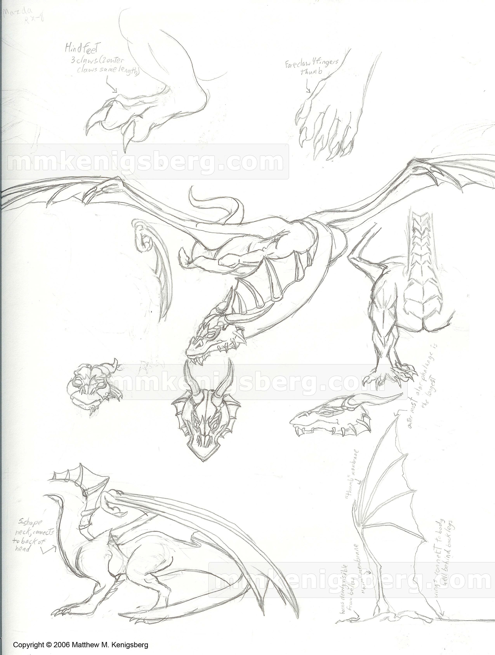 dragon character sheet