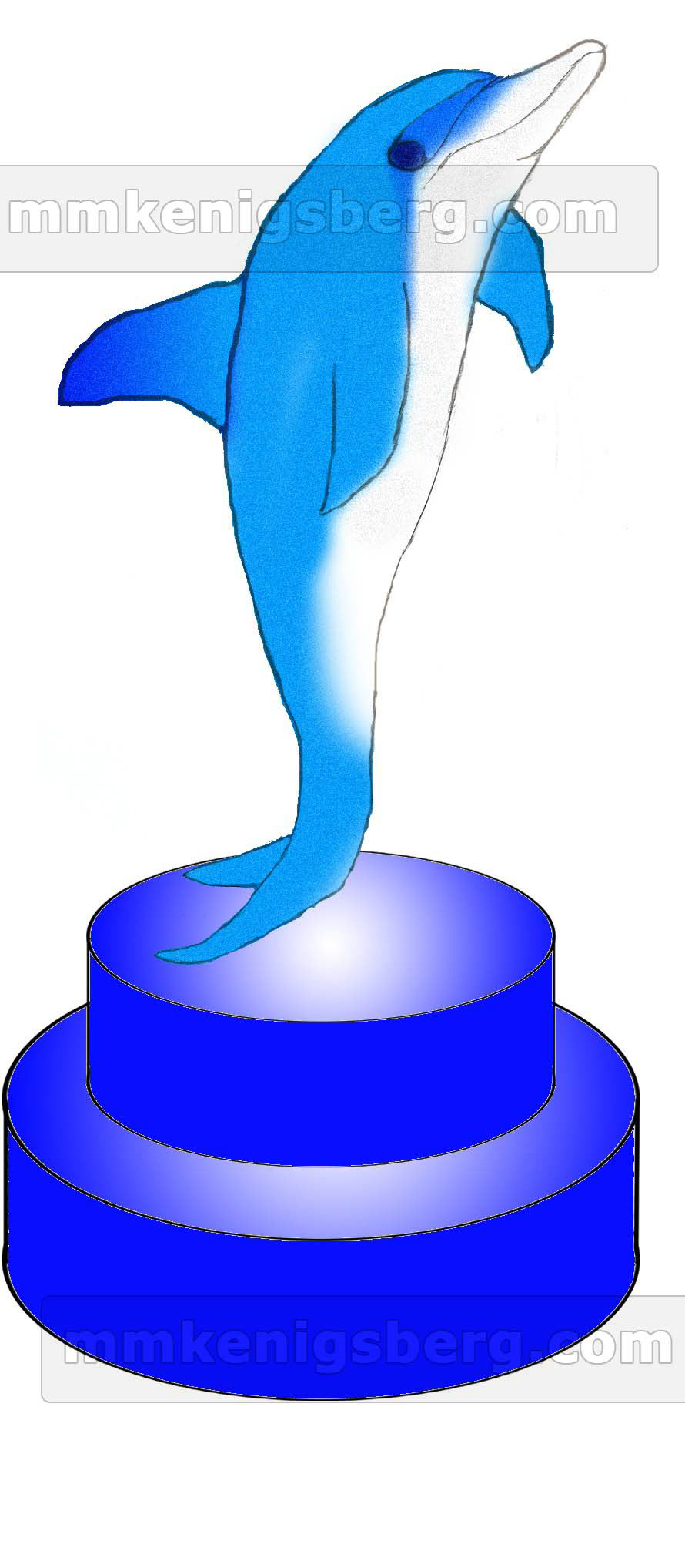 Water token: dolphin
