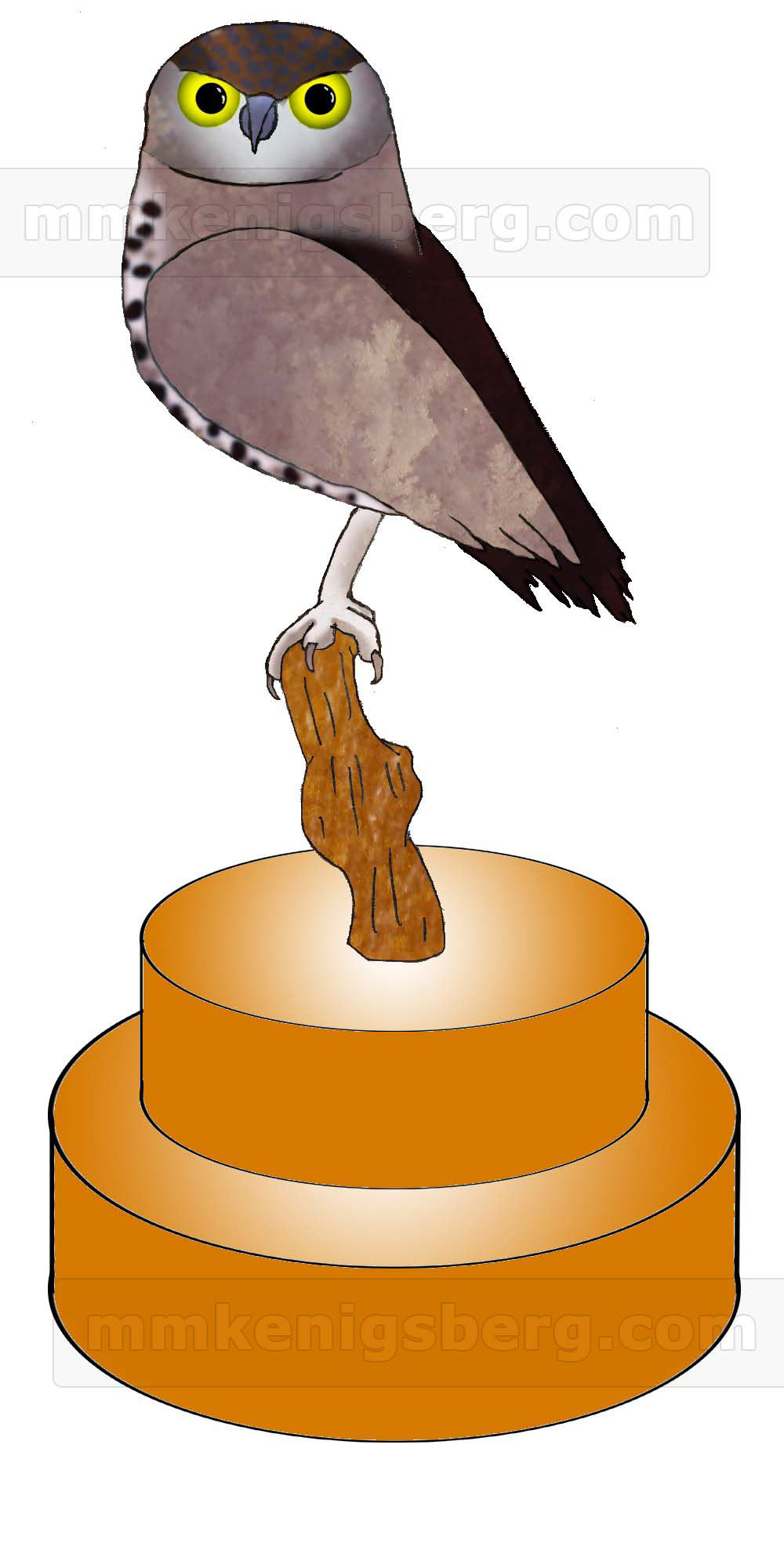 Air token: owl