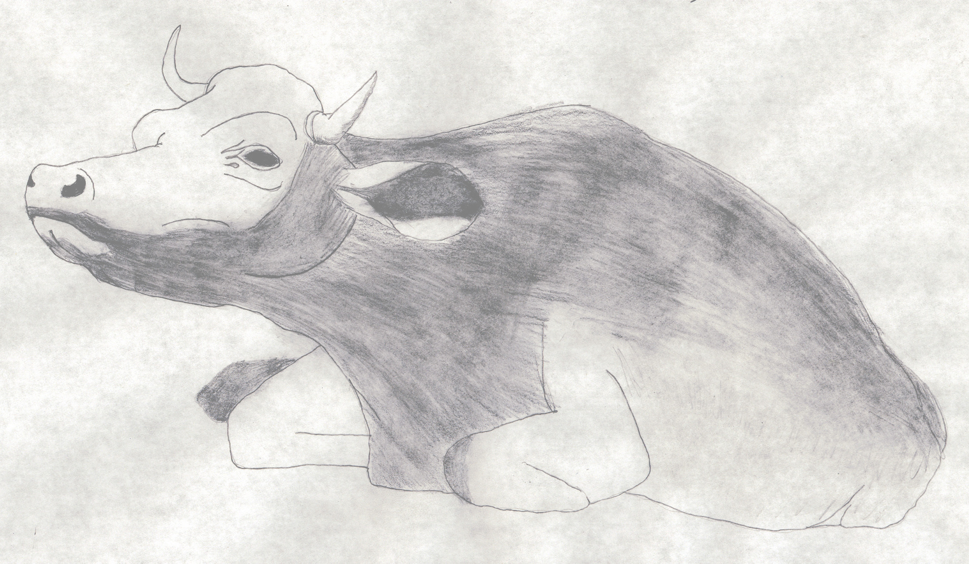 cow