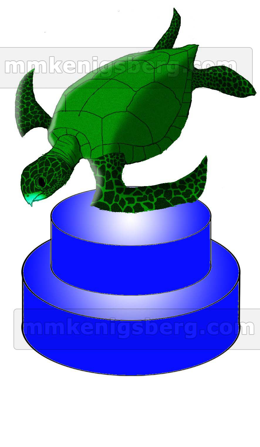 Water token: turtle