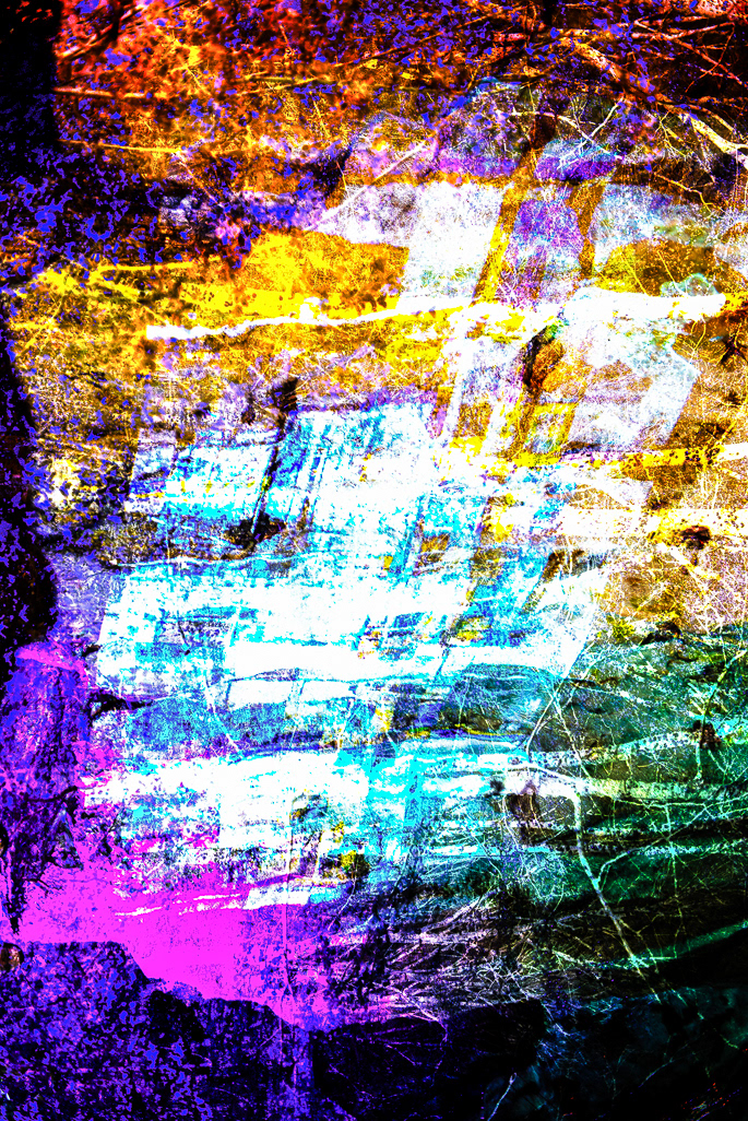 Wald_002
