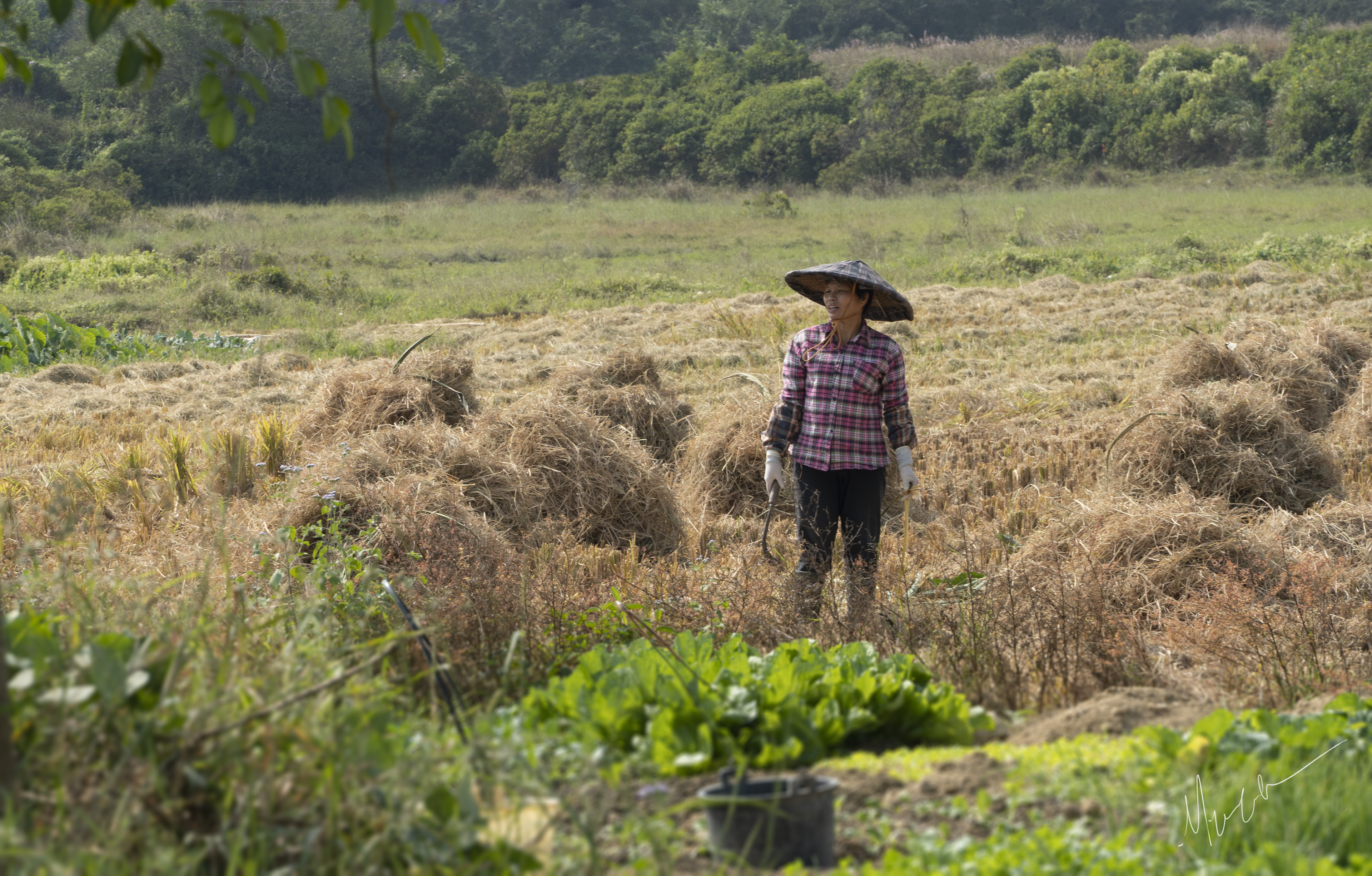 Taishan Village, Guangdong Province, CN 2019