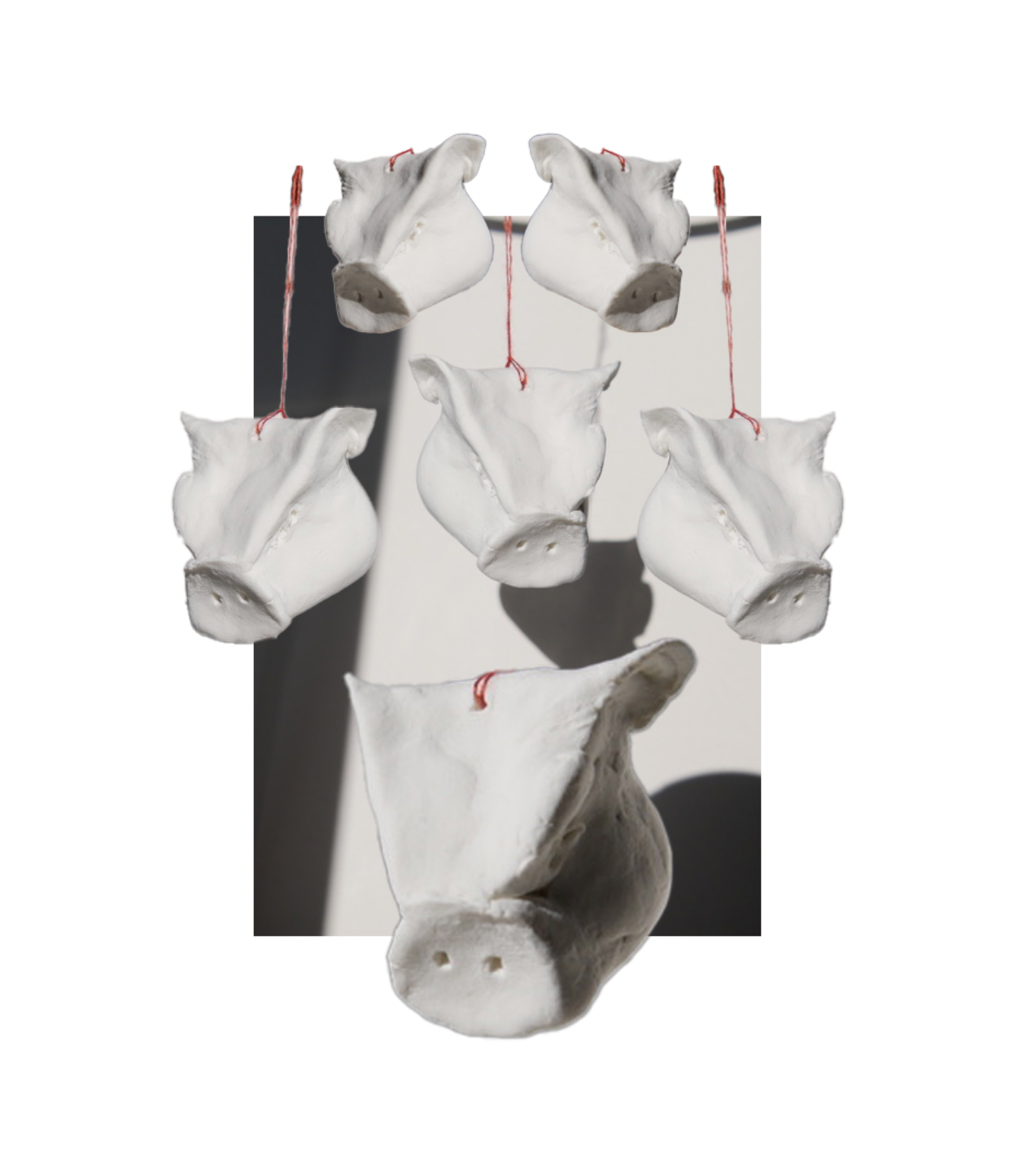 Atelier TOON VAN GRINSVELD