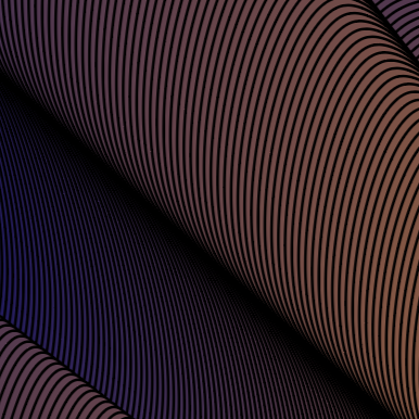 SENSORY DISTORTION NR 4, 2022