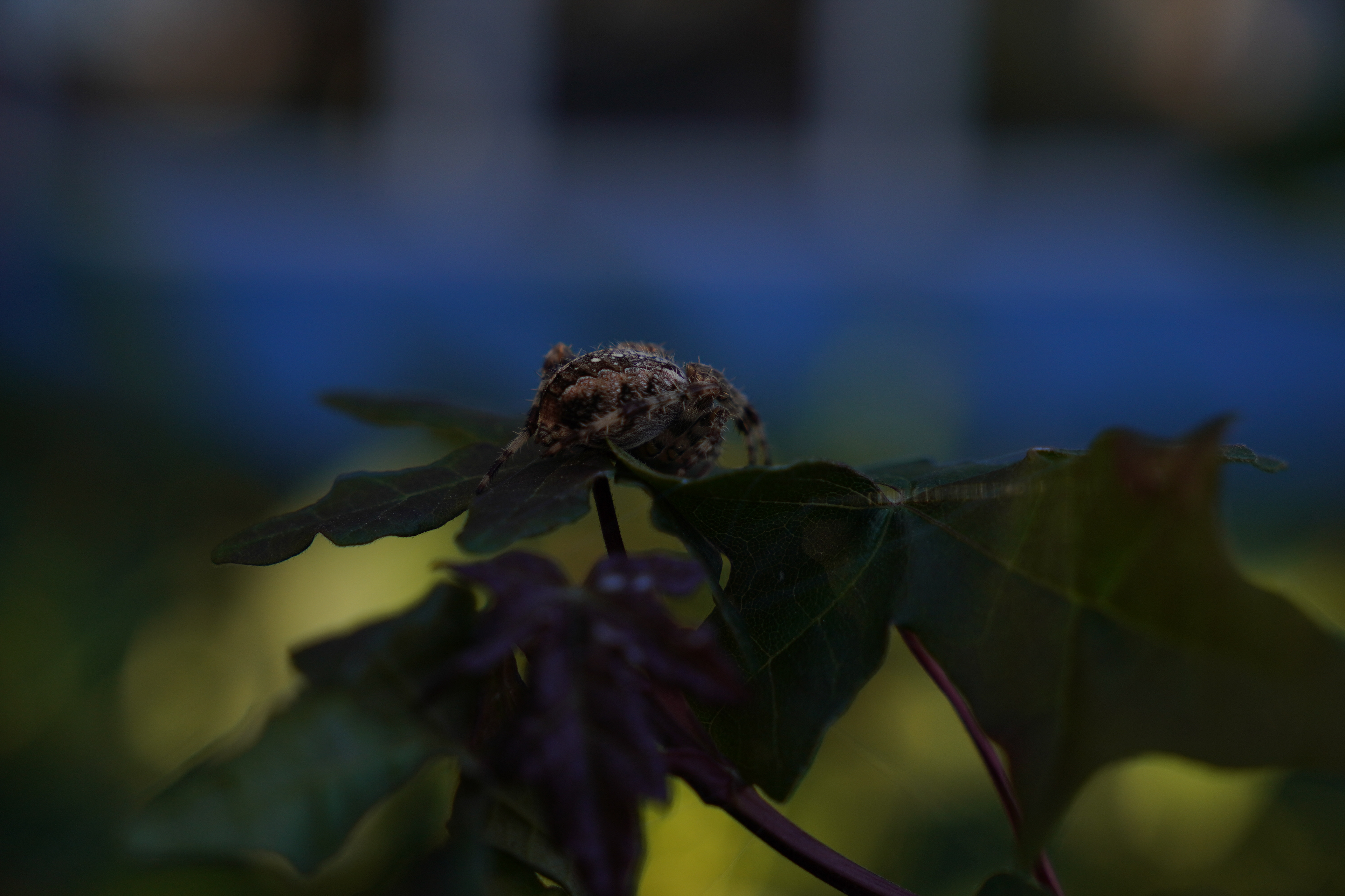 2023 original, unedited.