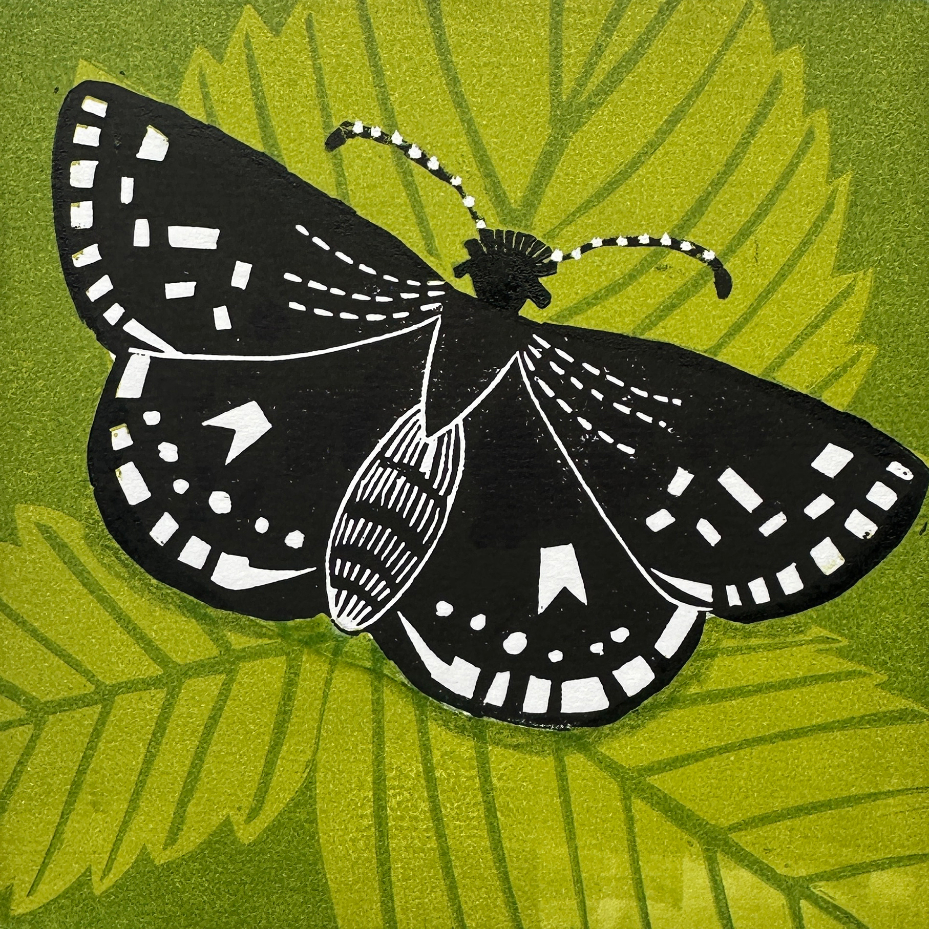 Grizzled Skipper - Reduction linoprint