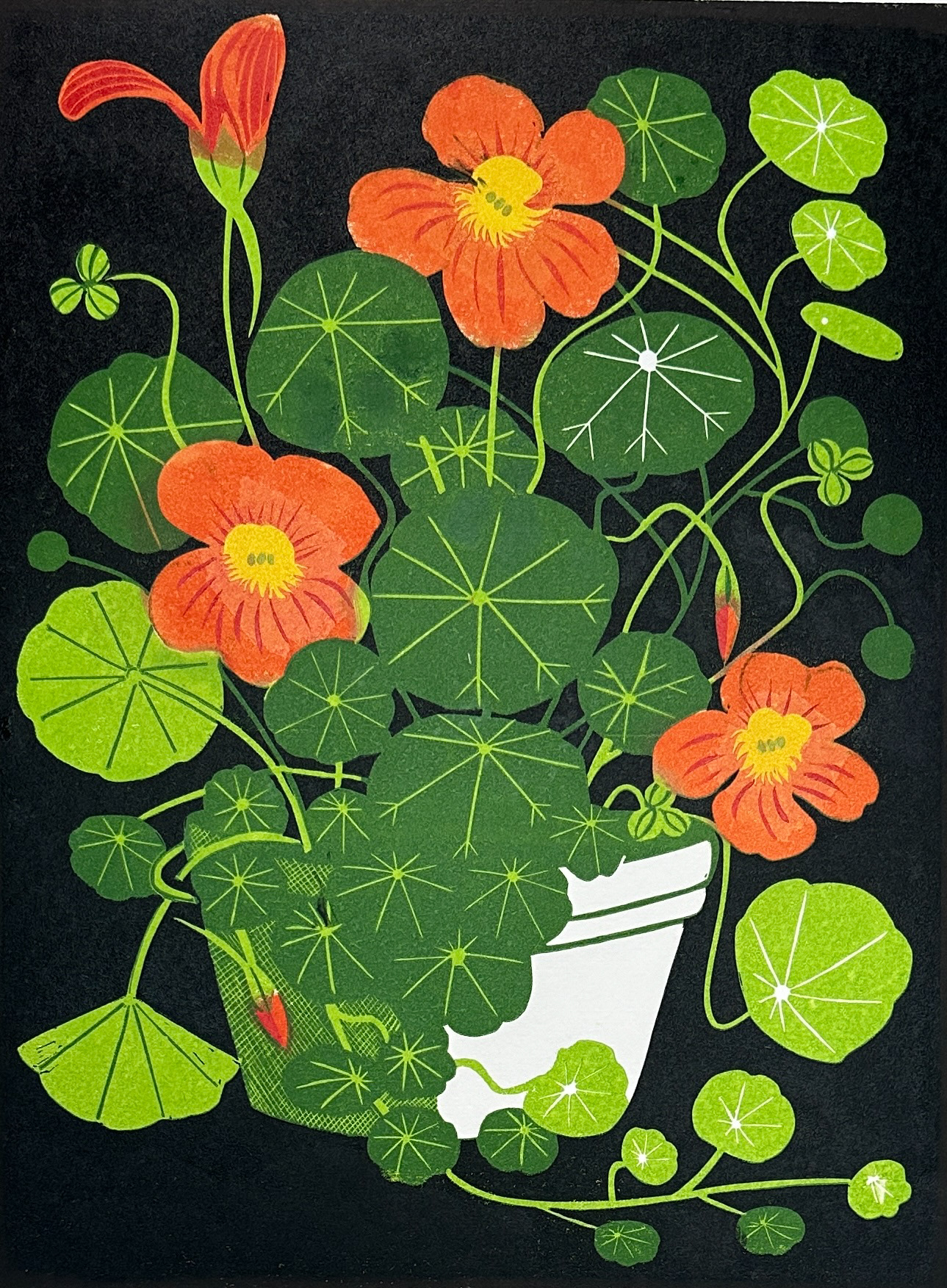 Nasturtiums Linoprint