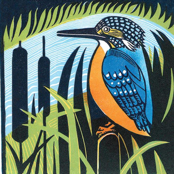 Pop  - Multiblock Lino 