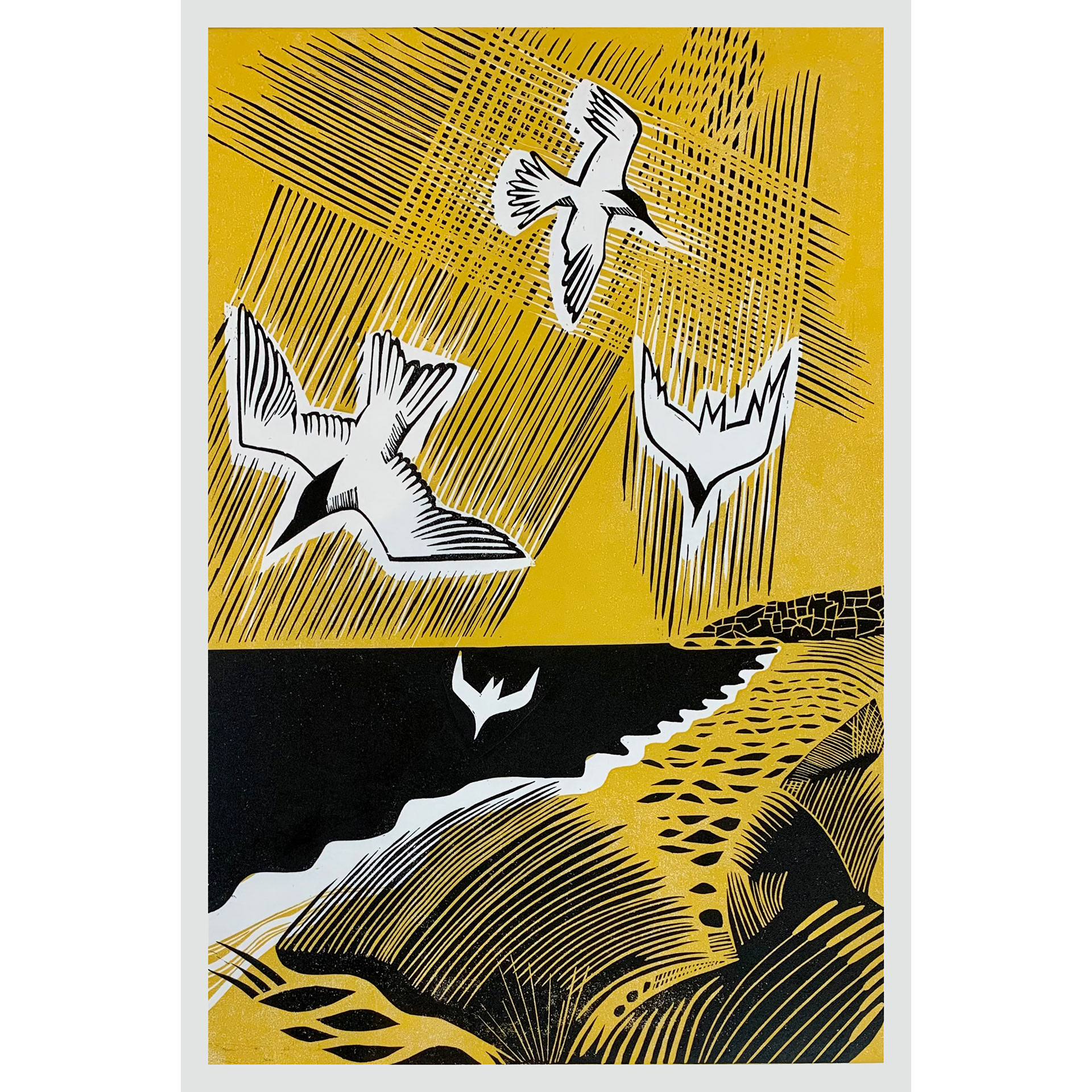 Terns  - Multiblock Lino SOLD