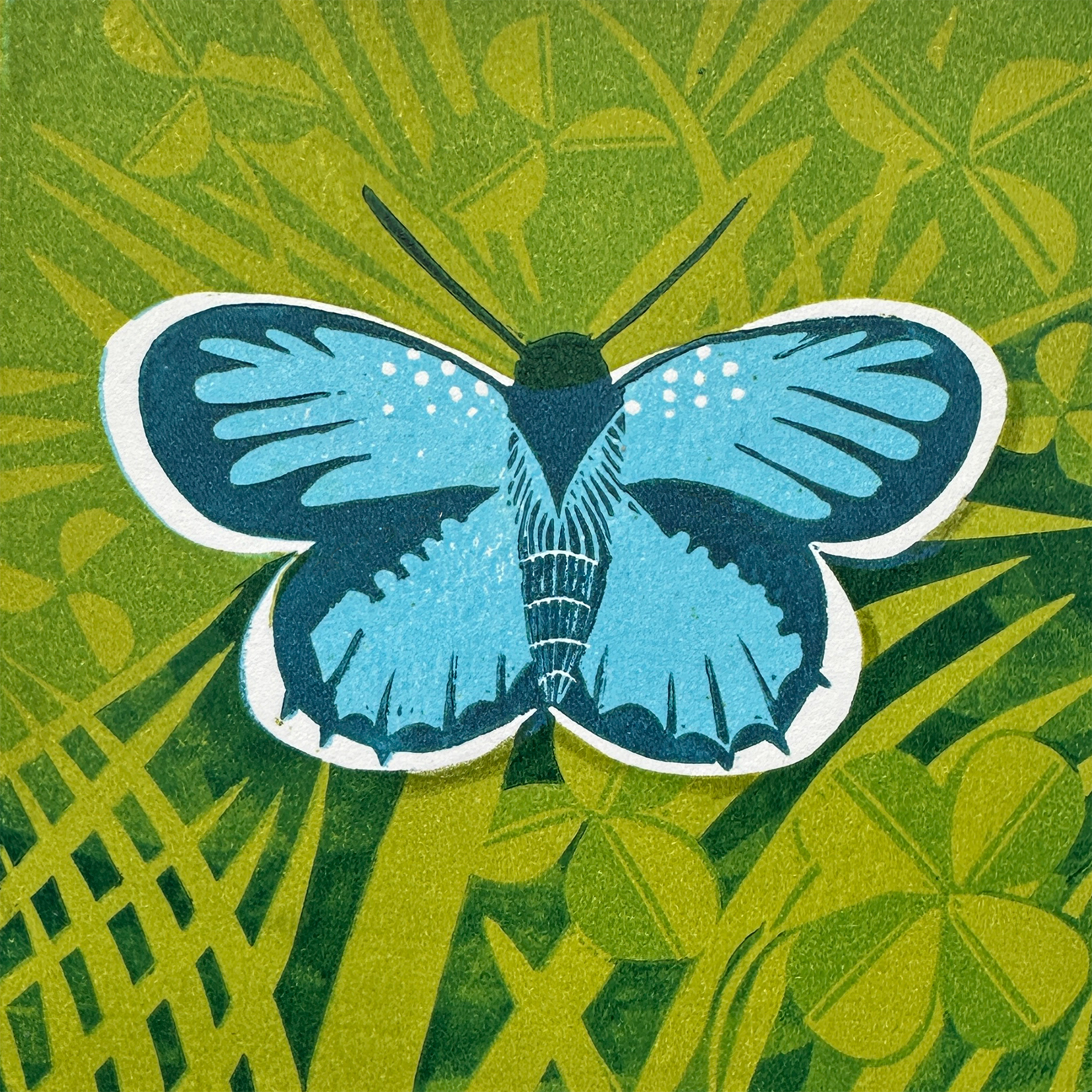 Silver Studded Blue reduction linoprint