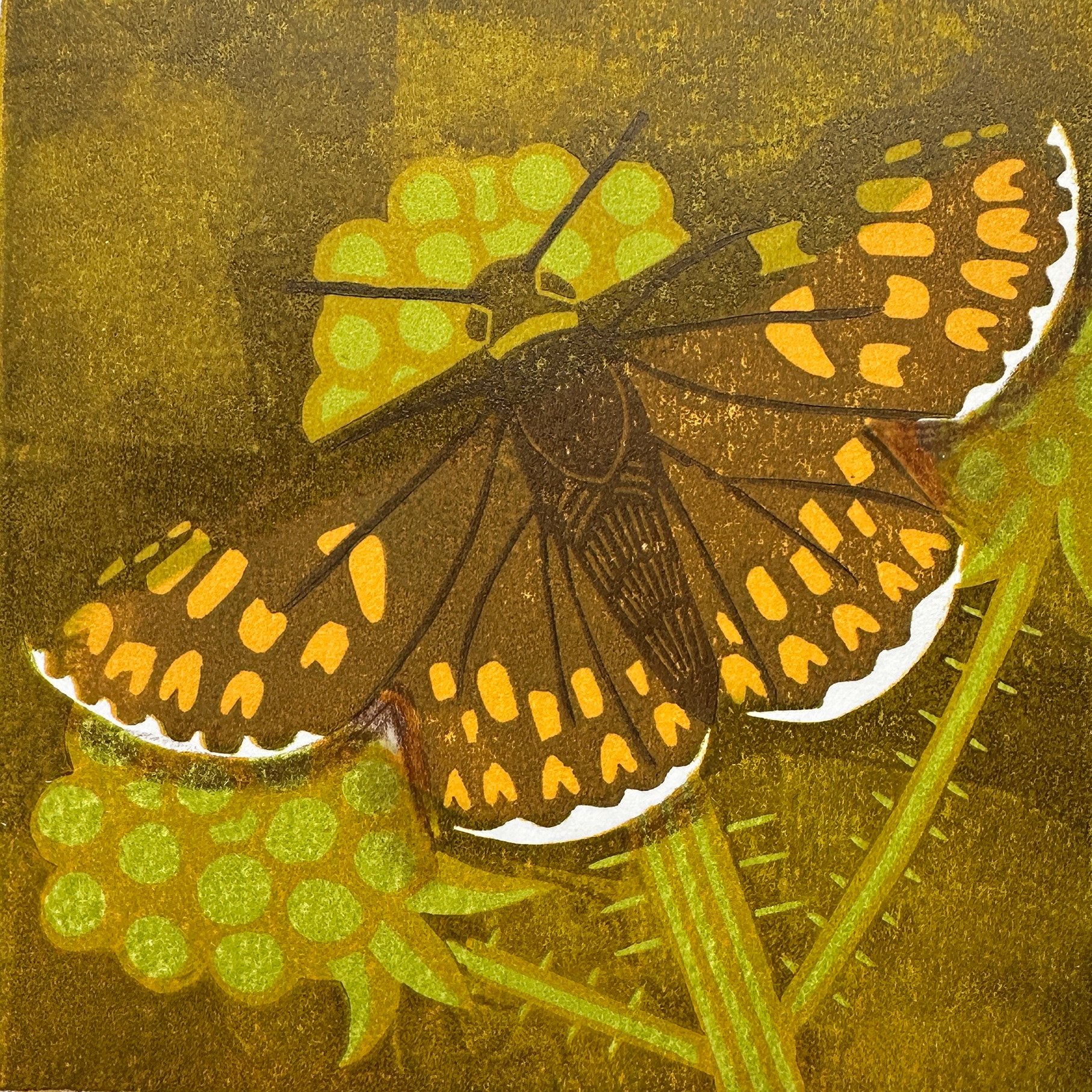 Duke of Burgundy reduction linoprint