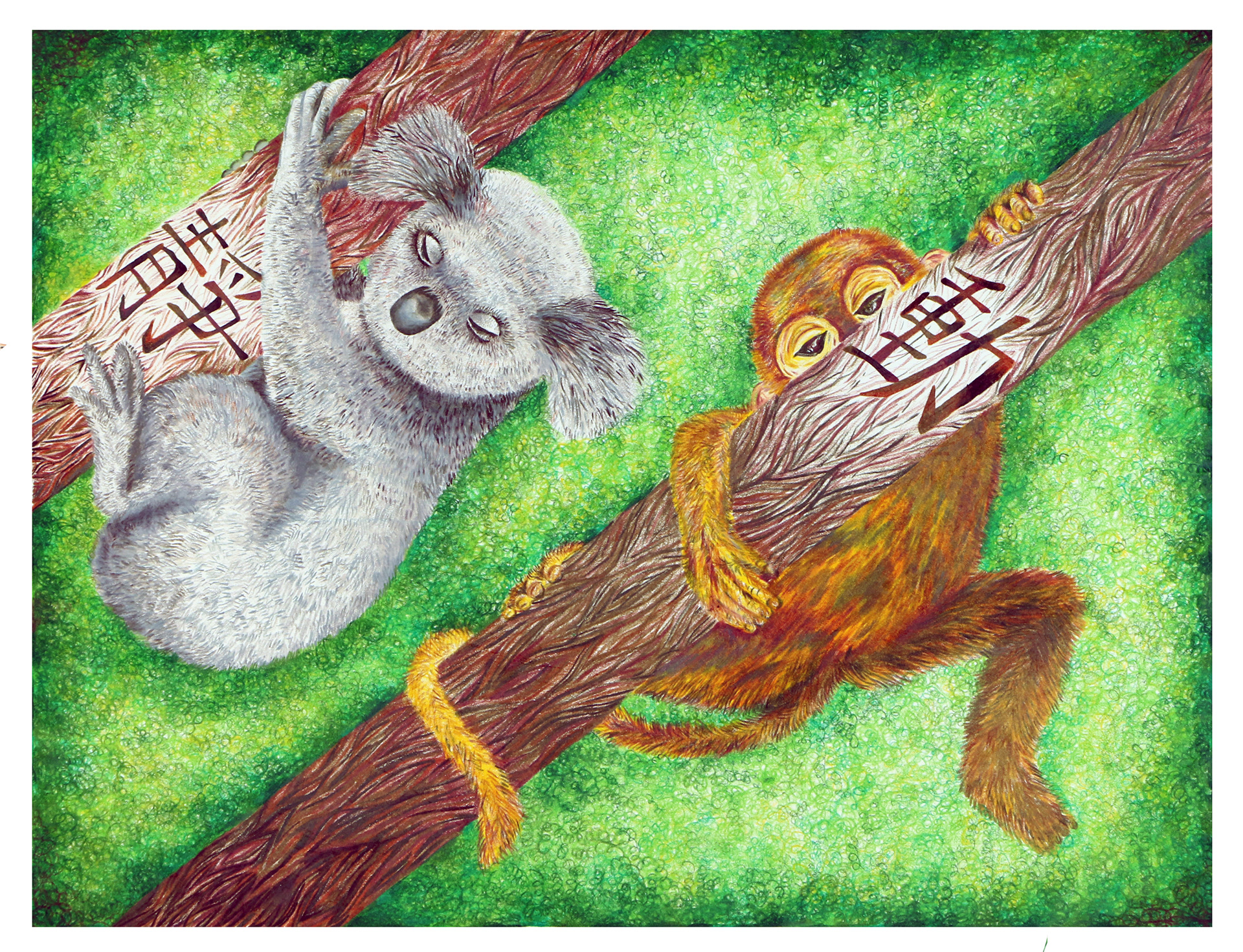 quiet koala and loud monkey