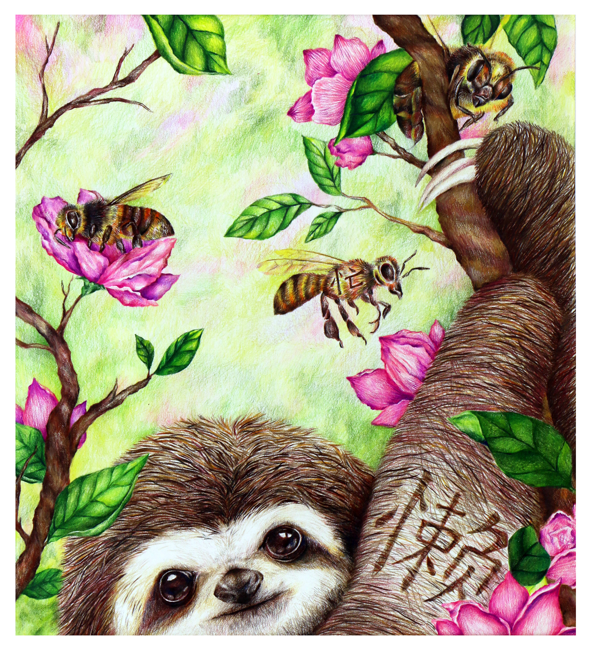 the busy bee and the lazy sloth