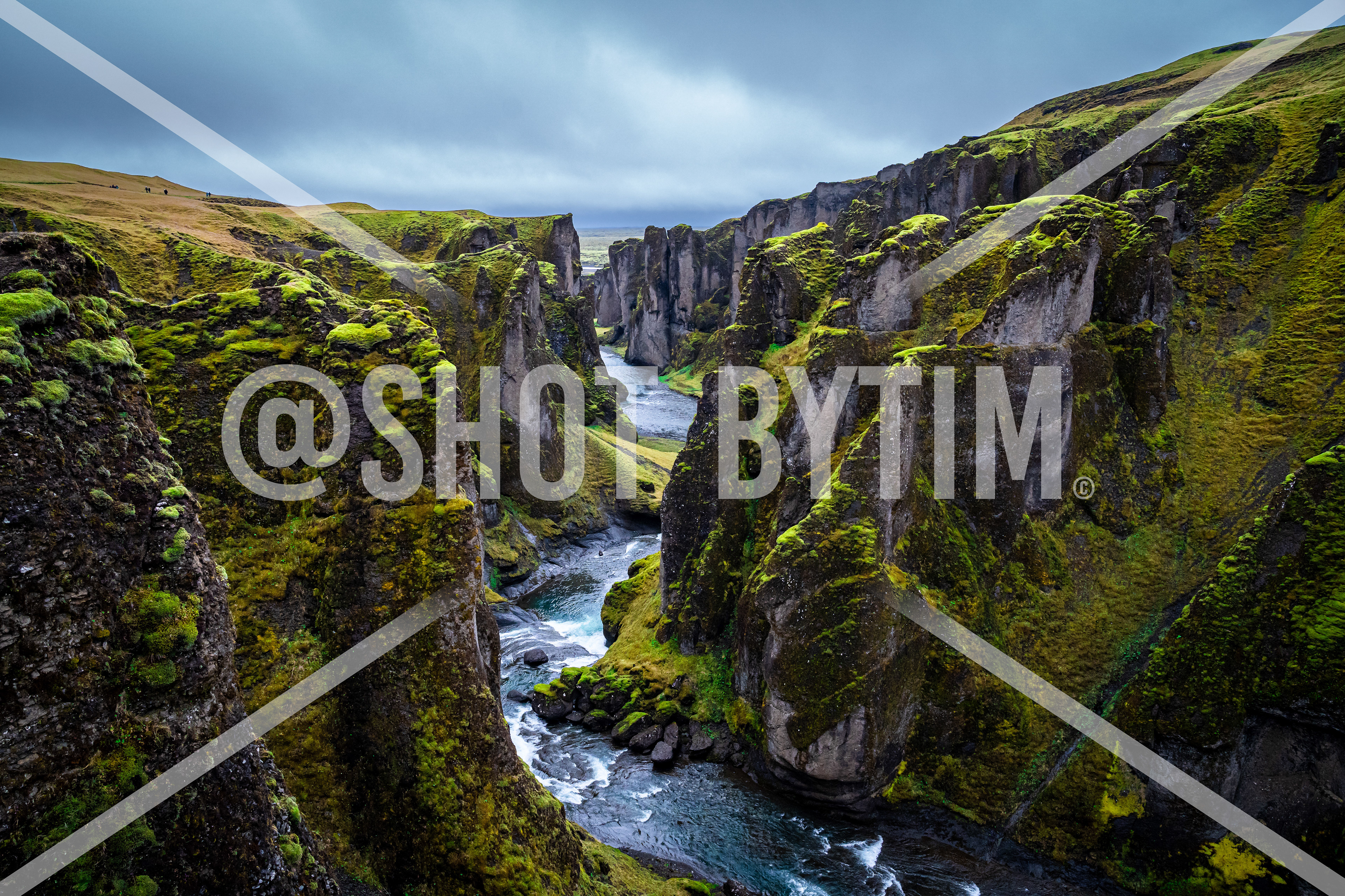 Lush Canyon