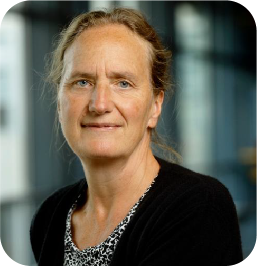 Prof.dr. Jenny Dankelman