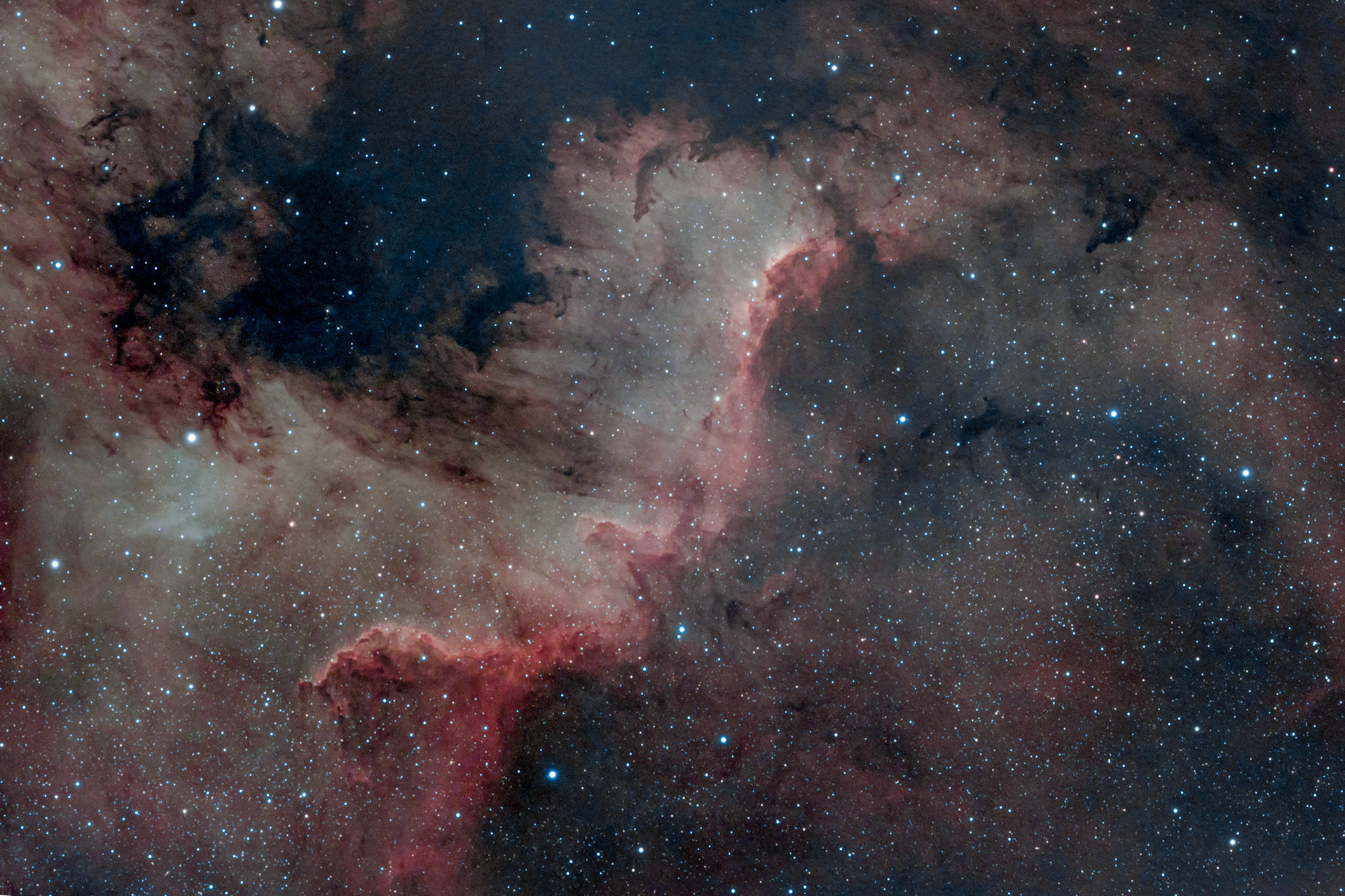 La nébuleuse de l'Amérique du Nord, cataloguée NGC 7000, est une nébuleuse en émission située à environ 580 pc (∼1 890 a.l.) dans la constellation du Cygne, près de Alpha Cygni1. Elle a une taille environ 15 pc (∼48,9 a.l.)1.