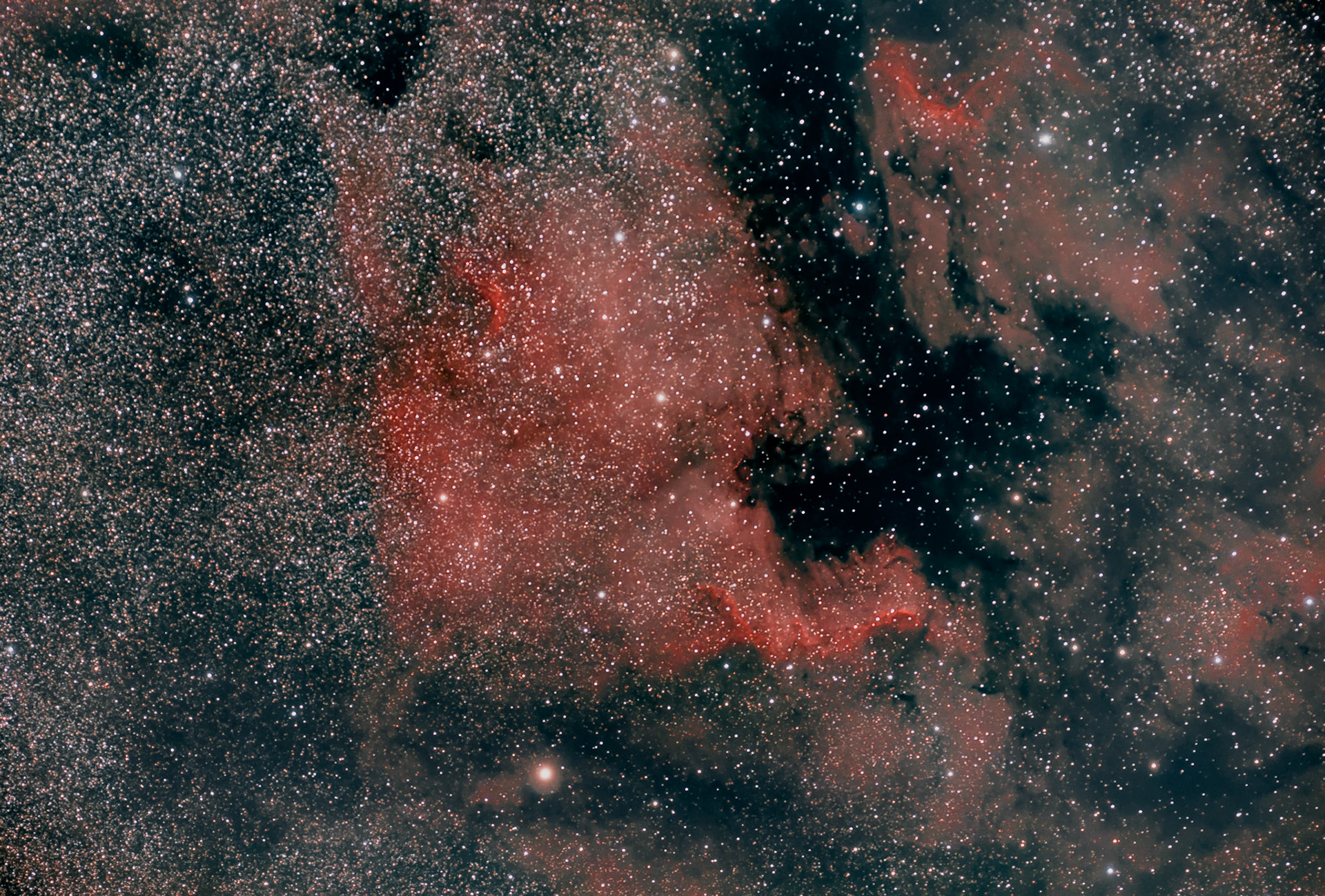 La nébuleuse de l'Amérique du Nord, cataloguée NGC 7000, est une nébuleuse en émission située à environ 580 pc (∼1 890 a.l.) dans la constellation du Cygne, près de Alpha Cygni1. Elle a une taille environ 15 pc (∼48,9 a.l.)1.