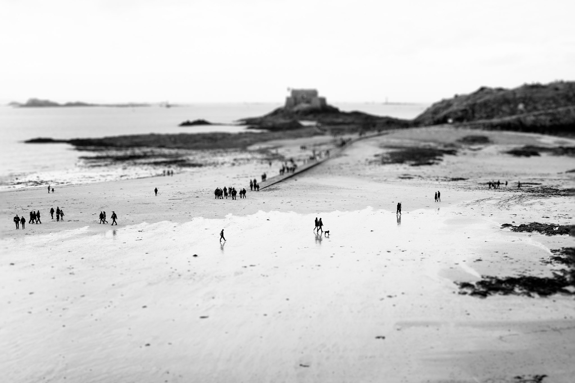 Walkers