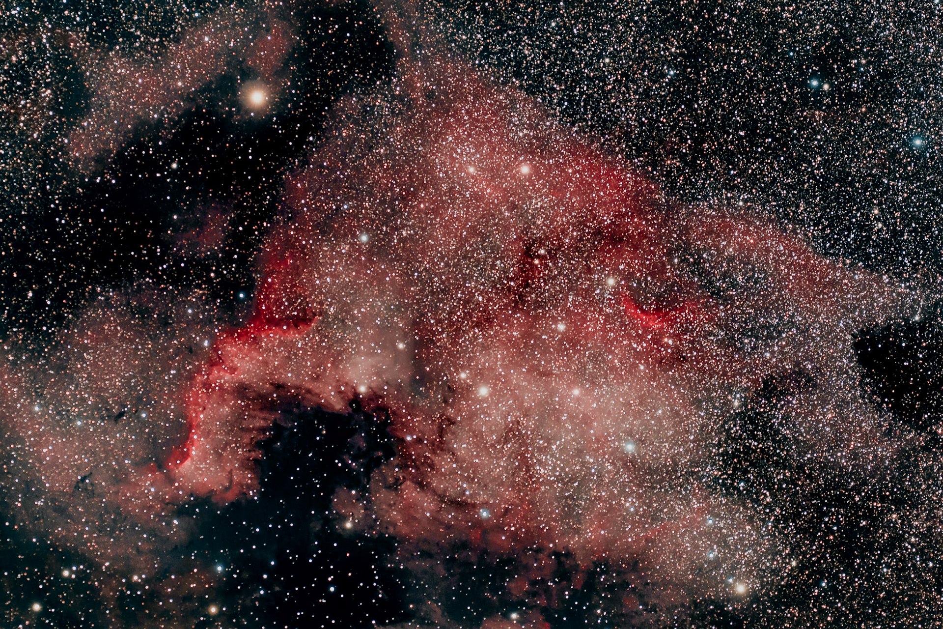 La nébuleuse de l'Amérique du Nord, cataloguée NGC 7000, est une nébuleuse en émission située à environ 580 pc (∼1 890 a.l.) dans la constellation du Cygne, près de Alpha Cygni1. Elle a une taille environ 15 pc (∼48,9 a.l.)1.
