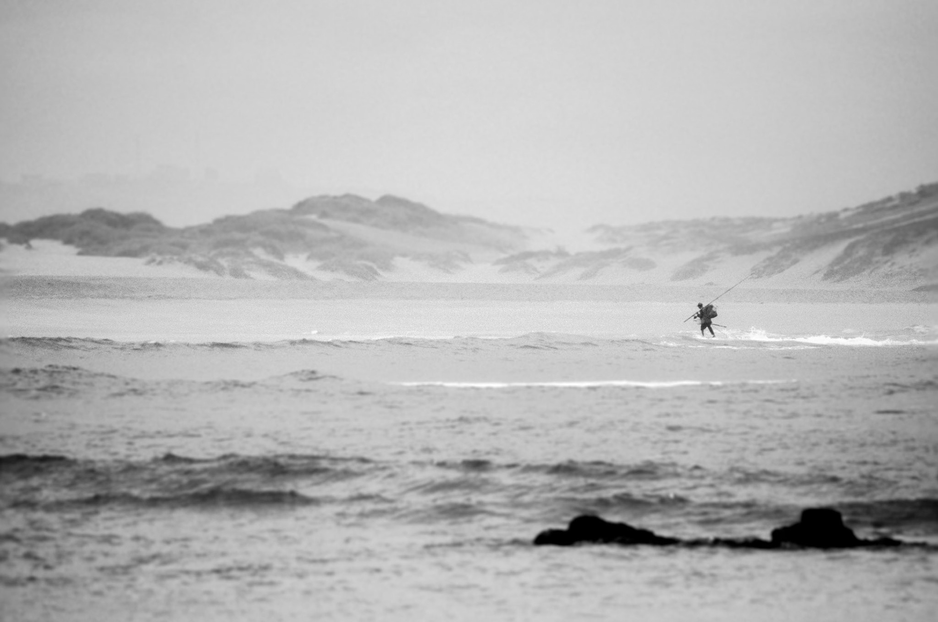 The fisherman