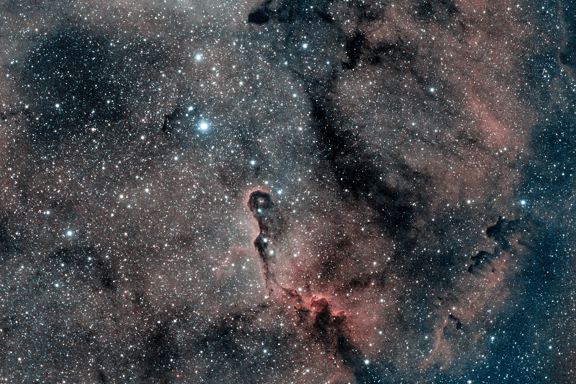 La Nébuleuse de la Trompe de l'Eléphant est un globule ovale et sombre dans la nébuleuse IC 1396 de la constellation de Céphée. Situé à une distance de 2450 années-lumière, le globule est une condensation de gaz dense qui survit avec peine aux fortes radiations ionisantes d'une étoile massive voisine. Il est fortement compressé par les gaz ionisés environnant.
