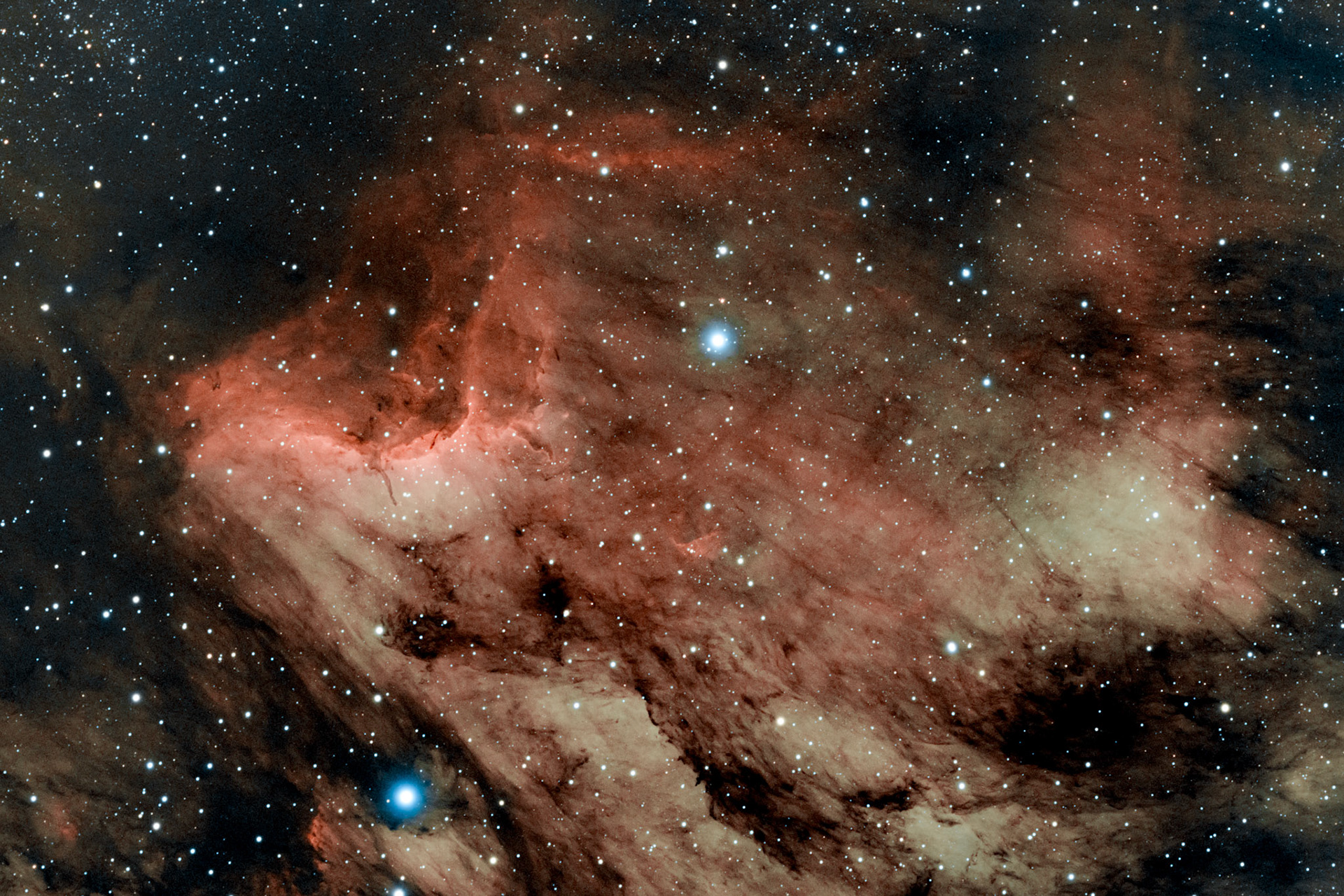 La nébuleuse du Pélican (IC 5067 et IC 5070) est une nébuleuse en émission située à environ 2 000 années-lumière de la Terre dans la constellation du Cygne1. Elle est très étendue dans le ciel, faisant environ 2,5 fois le diamètre de la Lune.