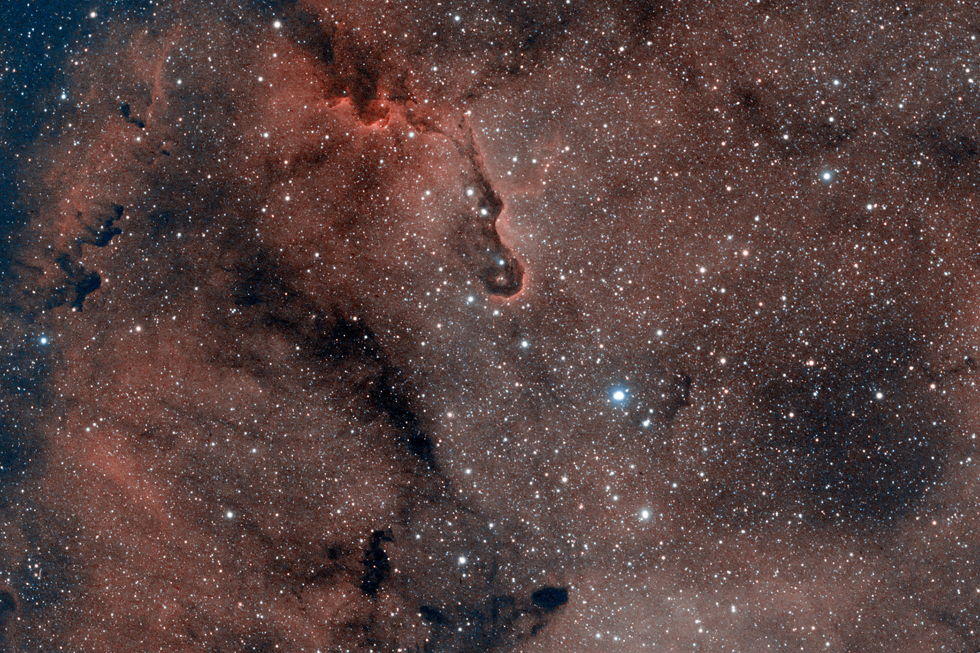 La Nébuleuse de la Trompe de l'Eléphant est un globule ovale et sombre dans la nébuleuse IC 1396 de la constellation de Céphée. Situé à une distance de 2450 années-lumière, le globule est une condensation de gaz dense qui survit avec peine aux fortes radiations ionisantes d'une étoile massive voisine. Il est fortement compressé par les gaz ionisés environnant.