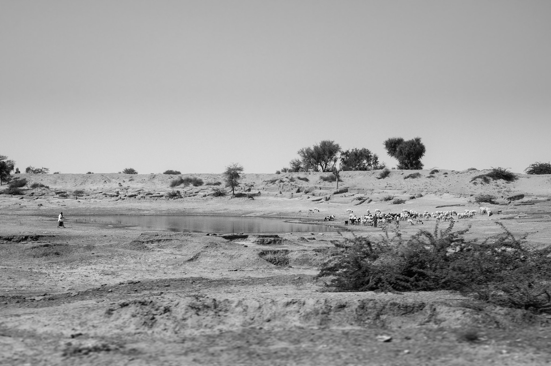 Photo taken from my trip in India in 2009 summer.