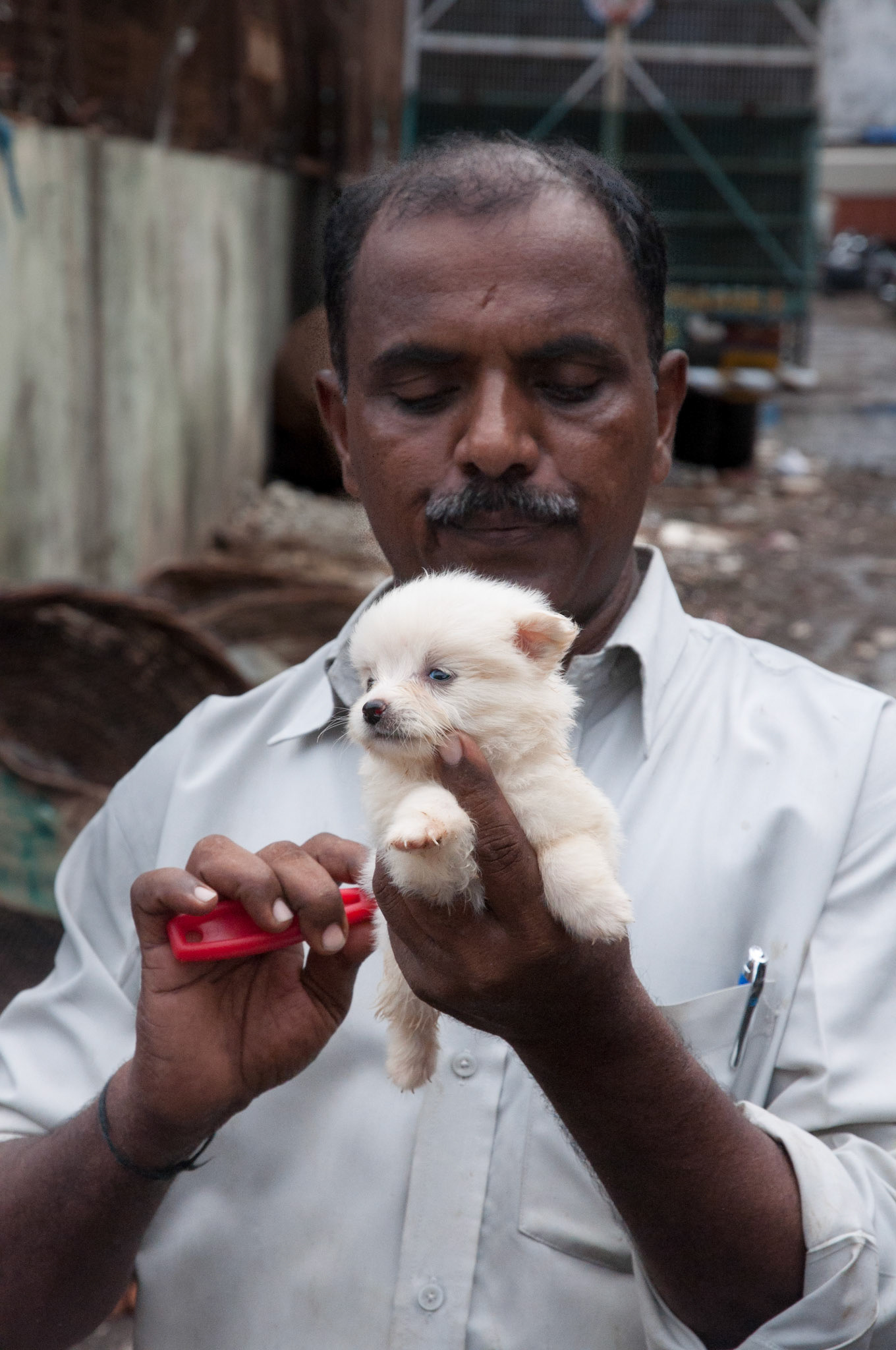 Photo taken from my trip in India in 2009 summer.