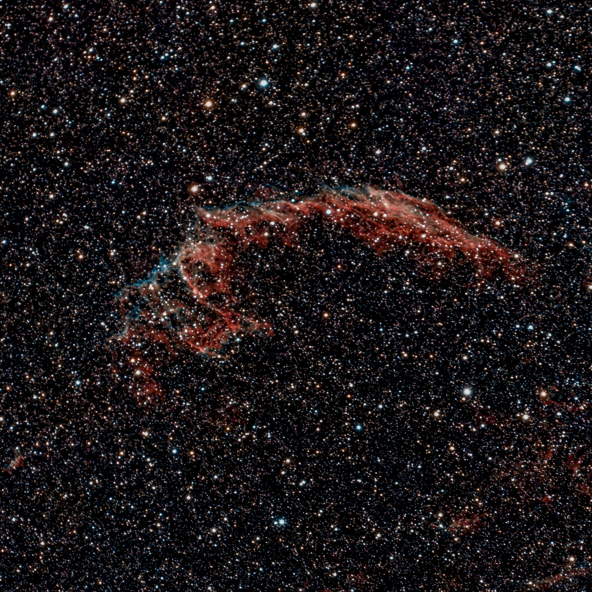 Les Dentelles du Cygne forment un rémanent de supernova dont l'explosion remonterait à une dizaine de milliers d'années. Elles se situent dans la constellation du Cygne. Le nom normalisé de ce rémanent est SNR G074.0-08.6, qui est quelquefois également appelé boucle du Cygne, terme issu de la traduction littérale de son nom anglais (Cygnus Loop).Cet objet est très vaste (une dizaine de degrés carrés) et très morcelé, notamment dans le domaine visible. Il n'a reçu que récemment une désignation qui s'applique à l'objet tout entier. On retrouve notamment les Dentelles du Cygne dans le catalogue Sharpless sous la désignation de Sh2-103.On la connaît cependant mieux en tant que groupe de plusieurs parties brillantes grosso modo disposées en cercle :la Grande Dentelle, la partie la plus brillante, se situe dans la région nord-est. Elle a la forme d'une virgule composée de filaments très fins s'étendant sur 1,2° suivant un axe NO-SE pour une largeur de l'ordre de dix minutes d'arc. Elle a été répertoriée par John Dreyer sous les désignations NGC 6992 (partie longiligne du nord-ouest), NGC 6995 (rebiquage au sud-est) et IC 1340 (extensions plus faibles de ce rebiquage) ;la Petite Dentelle se situe à l'opposé de la grande, à 2,5° au sud-ouest de cette dernière. Elle présente la particularité d'effleurer visuellement une étoile visible à l'œil nu (magnitude 4,2), 52 Cygni, ce qui rend le pointage aisé pour l'astronome amateur. Au nord de cette étoile, la Petite Dentelle est constituée d'un filament comprenant deux brins principaux, s'étendant sur quasiment un demi-degré pour une largeur ne dépassant pas quatre minutes d'arc ; de l'autre côté de l'étoile, le filament s'évase en direction du sud-est autour de trois brins principaux (plus brillants au fur et à mesure que l'on s'éloigne vers l'ouest). Cette partie des Dentelles du Cygne est connue sous la désignation de NGC 6960 (elle n'en constitue en fait qu'une petite partie) ;le Triangle de Pickering se trouve quant à lui au nord-ouest de la nébuleuse. Comme son nom l'indique en partie, il s'agit d'un triangle filamenteux allongé en direction du sud sur environ 45 minutes d'arc (pour une base de 25' de largeur). Il partage avec la Petite Dentelle la désignation de NGC 6960. Le Triangle de Pickering se prolonge par un long filament de plus de deux degrés de long ;quelques nodosités isolées viennent compléter le tableau, toujours avec l'aspect filamenteux que l'on retrouve dans les parties précédentes. Citons notamment NGC 6974 et NGC 6979, un demi-degré au nord-est du Triangle de Pickering.
